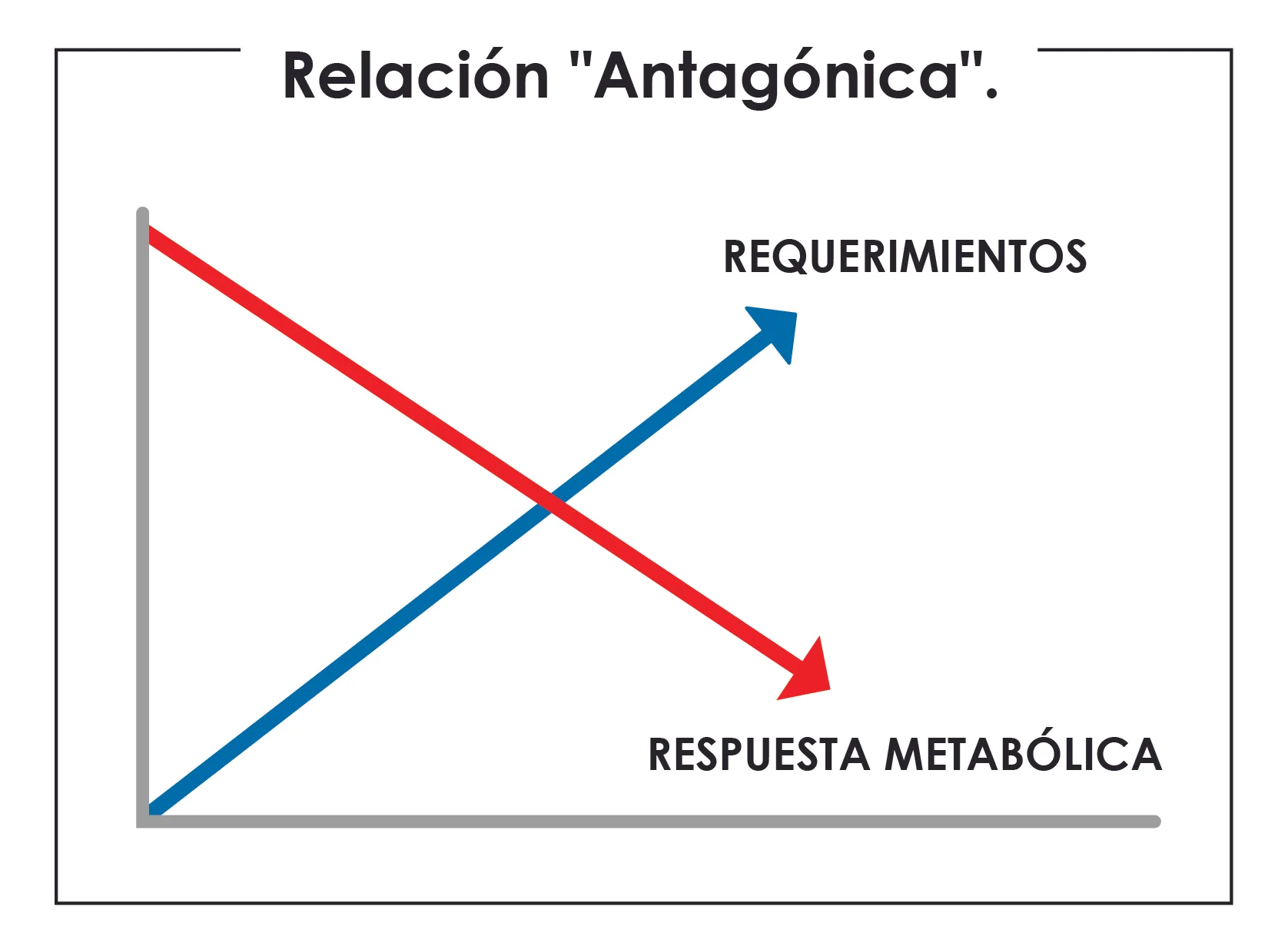 RELACIÓN ANTAGÓNICA.jpg
