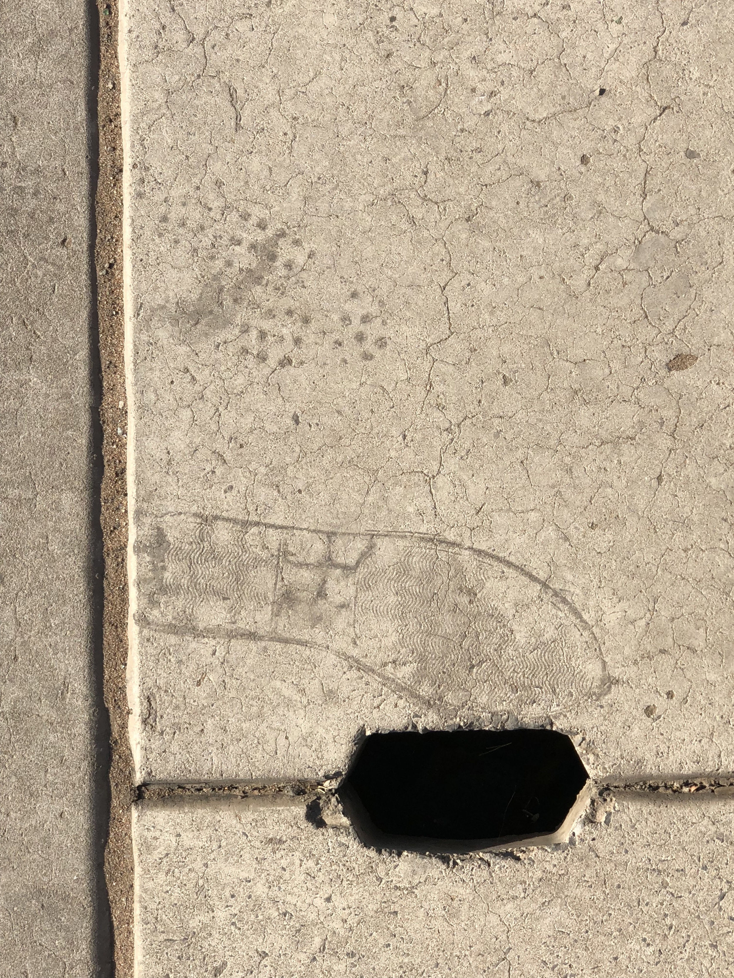 sidewalk hole print.jpg