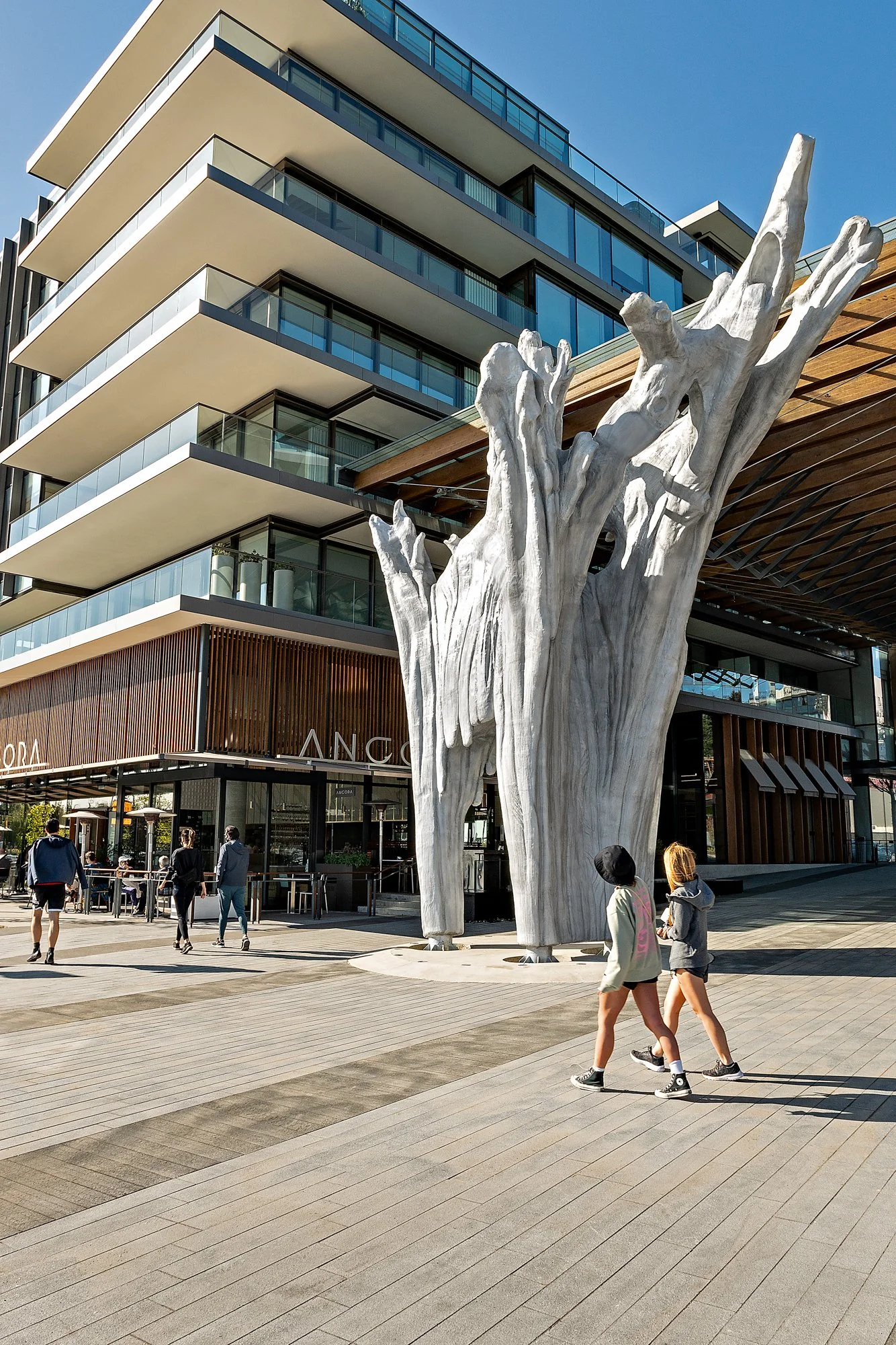 Grosvenor / Douglas Coupland - Tree Snag
