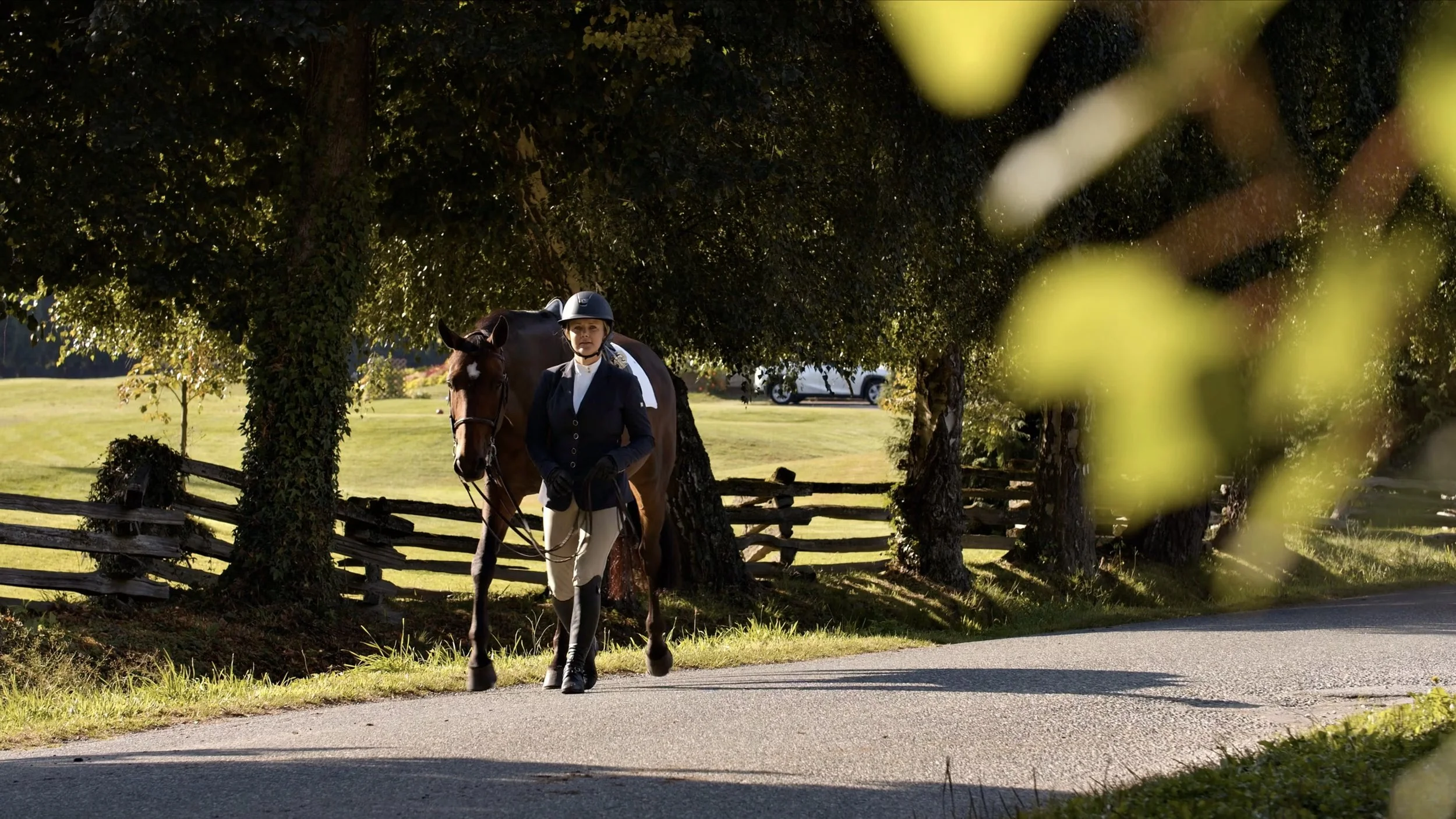 Timeless Tale of Kerrisdale - Gryphon House