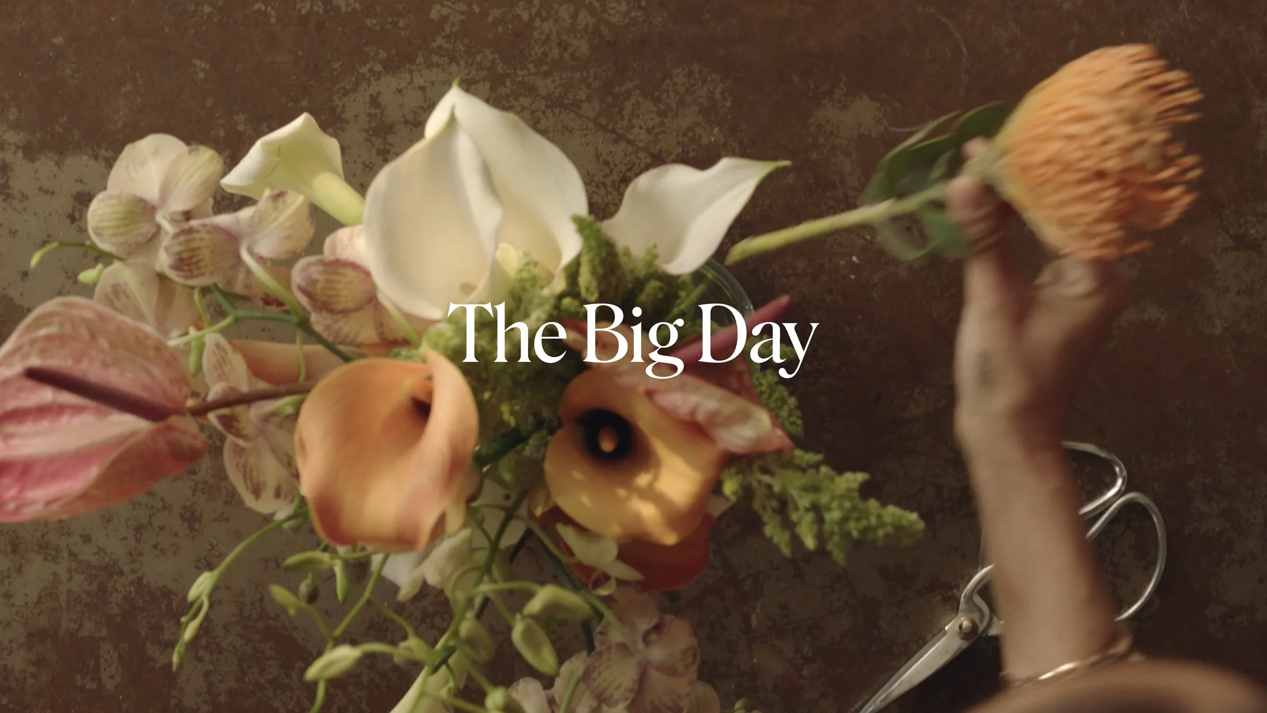 Peterson - The Big Day