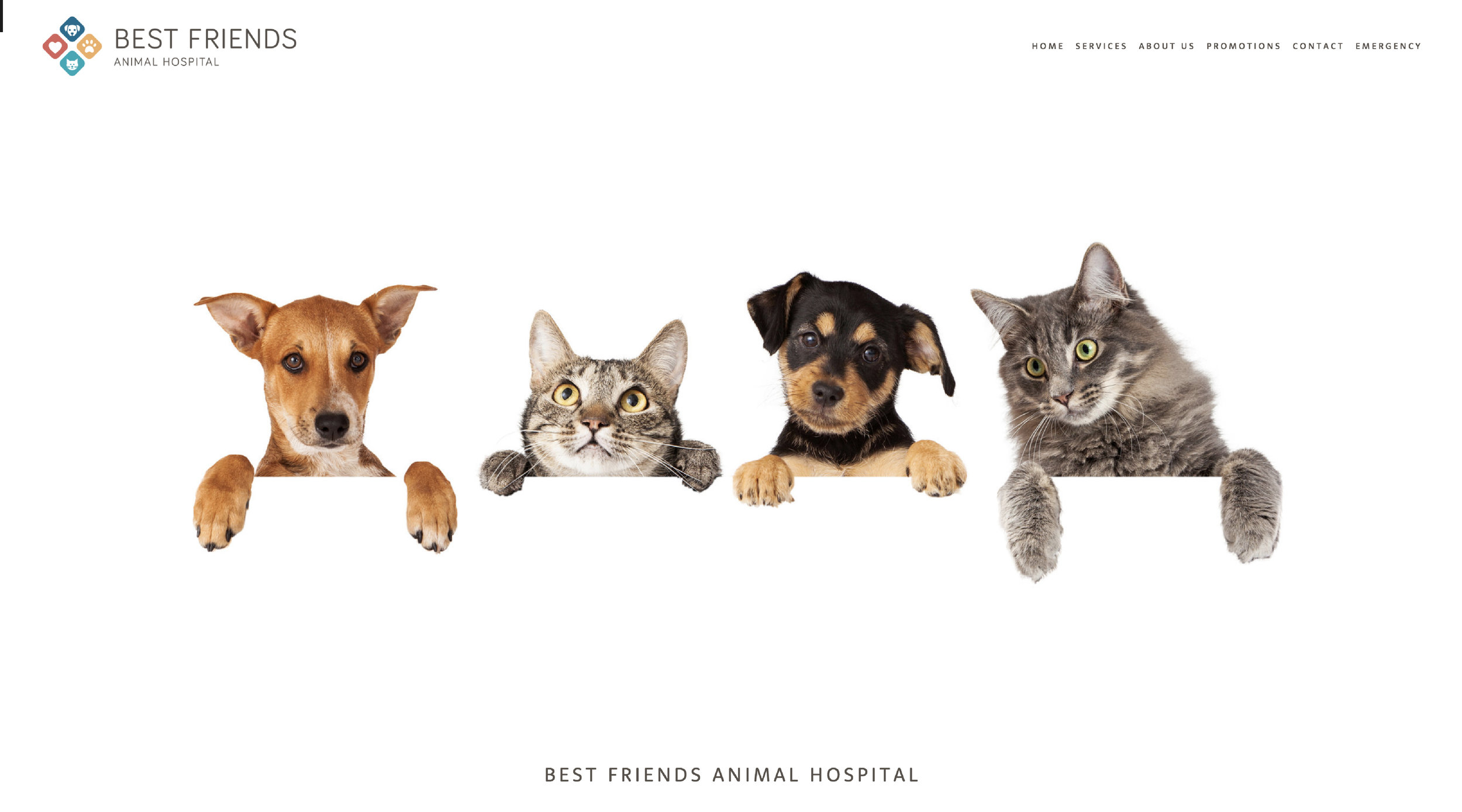 Best Friends Animal Hospital