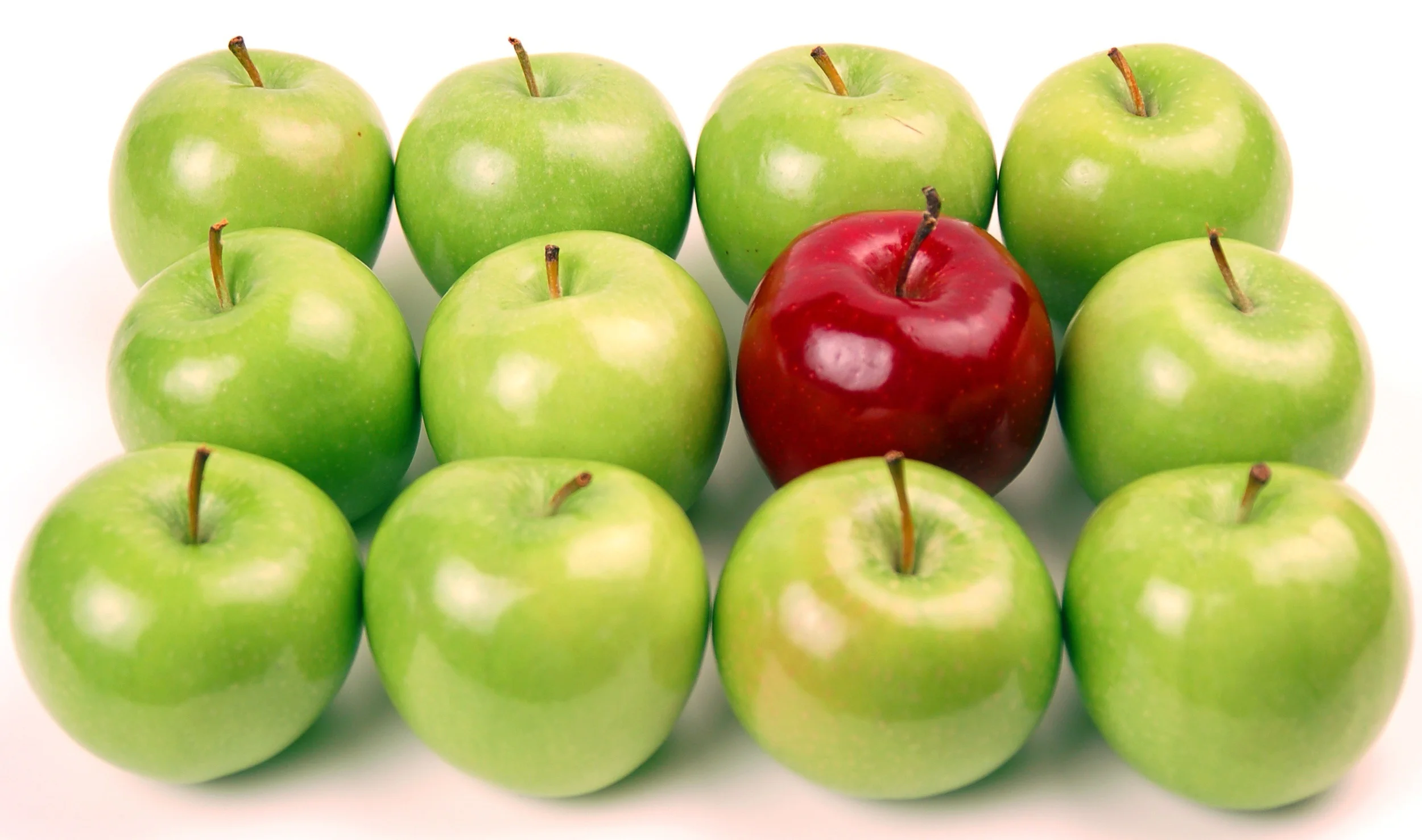 Als Experte für Genogrammarbeit zu Gast an der Universität Köln