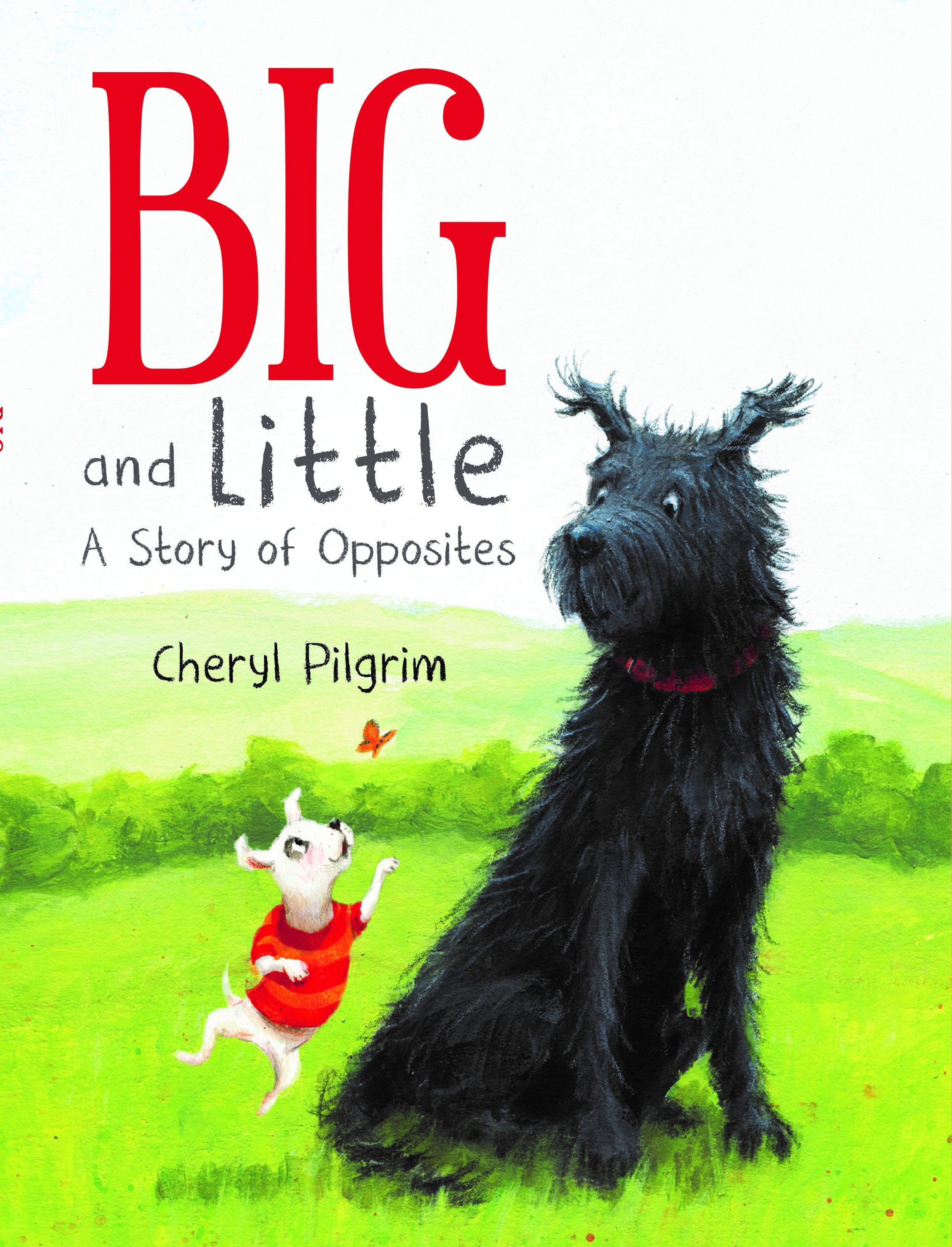 pilgrim_big and little cover.jpg