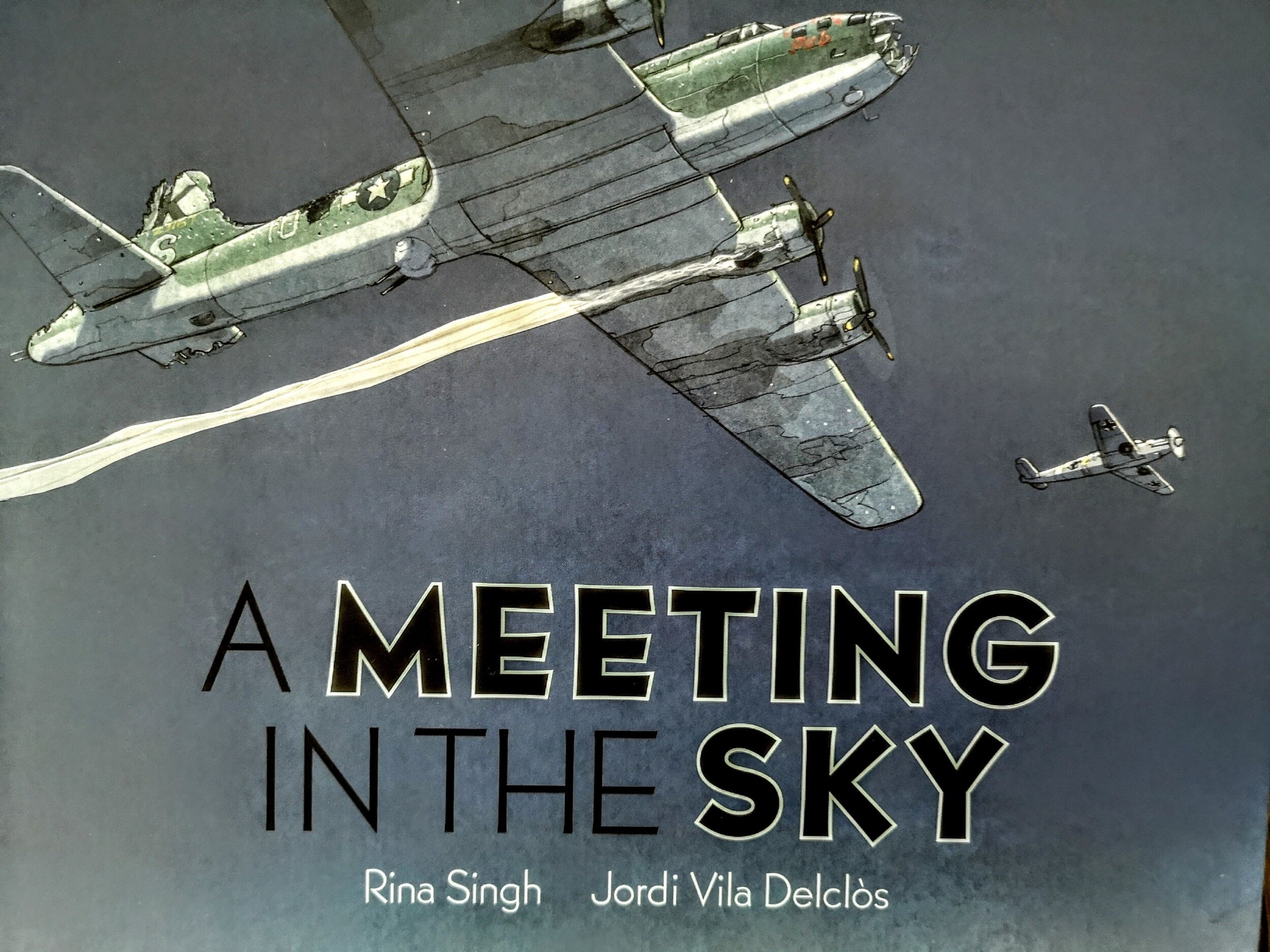 A Meeting in the Sky cover copy.jpg