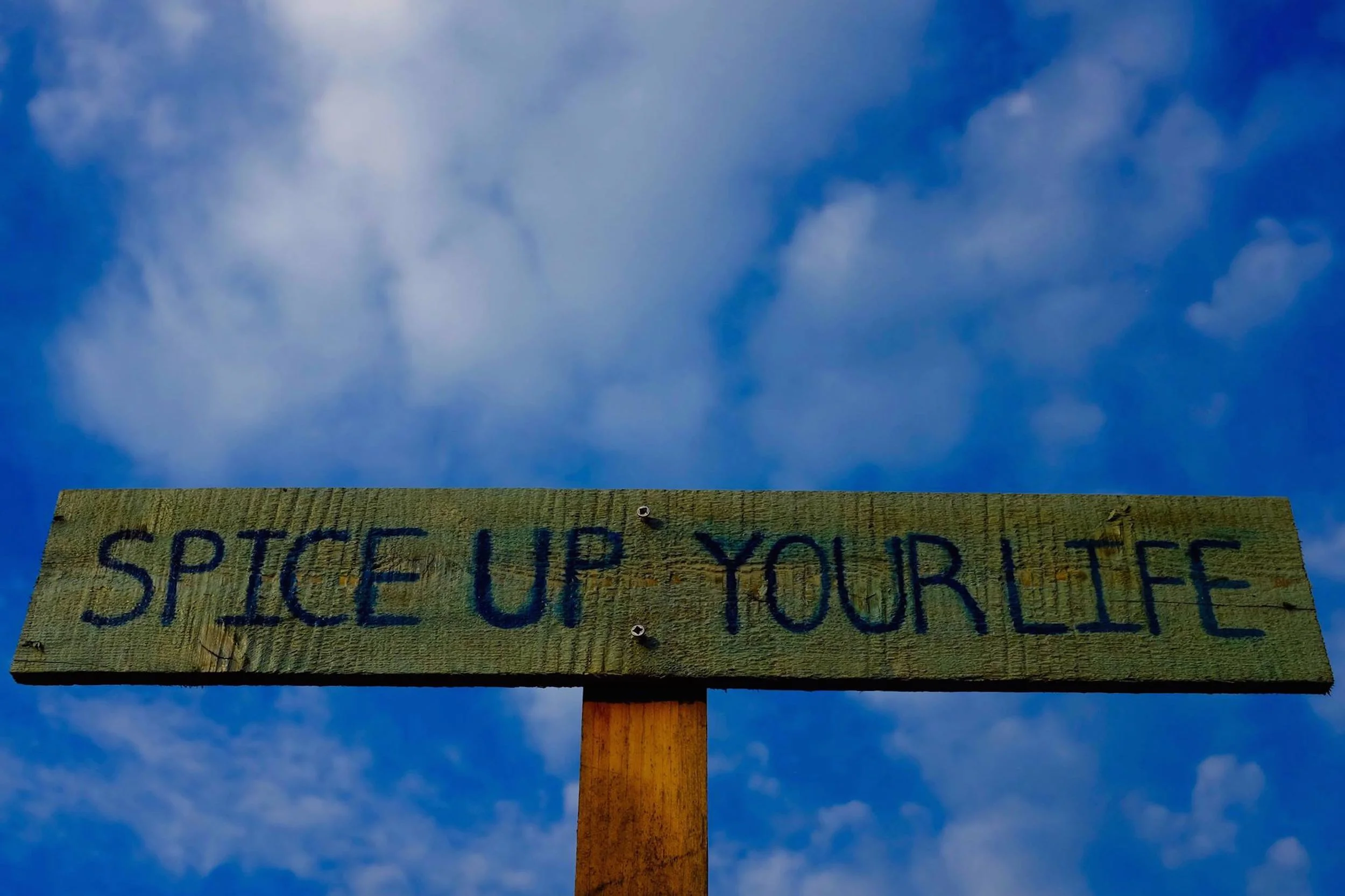 10 Tiny Ways to Find Purpose and Happiness in Life