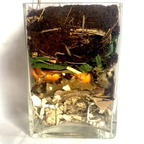 Start Mulch Gardening in Your Yard