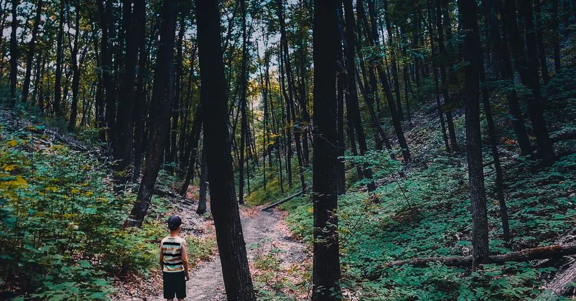 Nature Preschools Offer an Education That Classrooms Can't