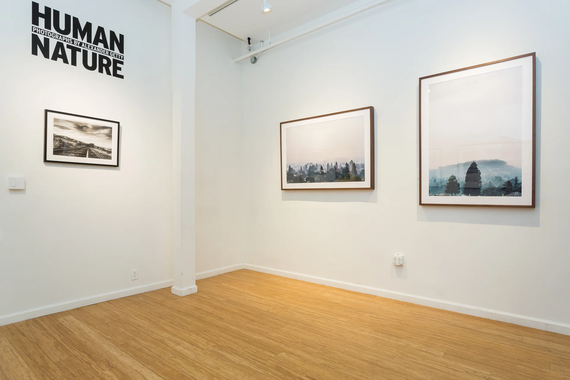 HUMAN|NATURE at Gauntlet Gallery