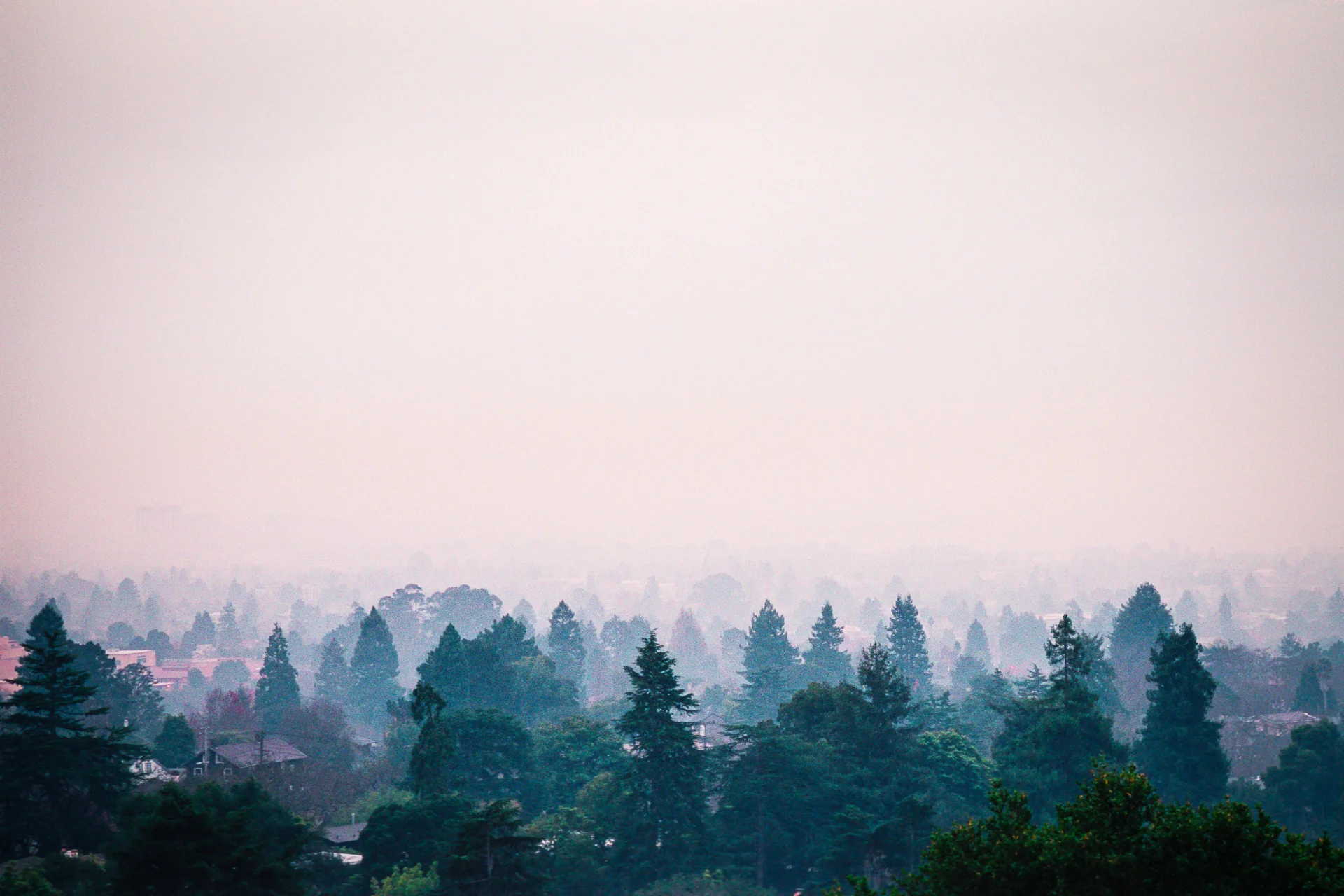 Berkeley Horizontal, HUMAN|NATURE at Gauntlet Gallery