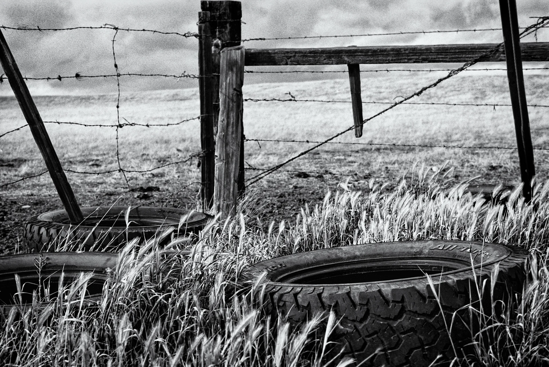 Bakersfield Farmland 1, HUMAN|NATURE at Gauntlet Gallery
