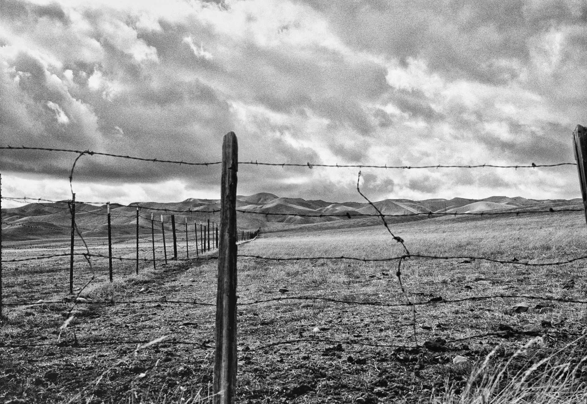 Bakersfield Farmland 2, HUMAN|NATURE at Gauntlet Gallery