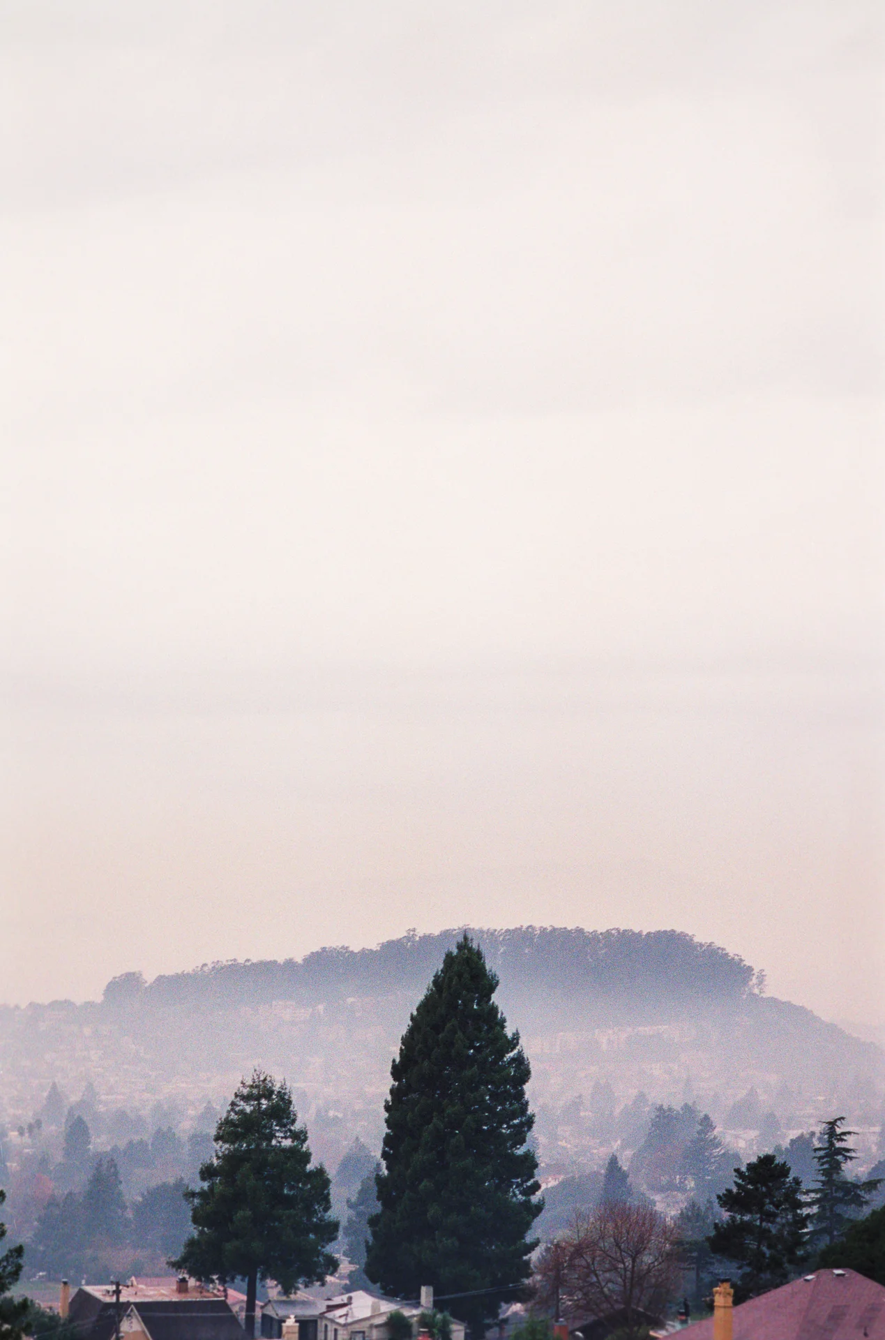 Berkeley Vertical, HUMAN|NATURE at Gauntlet Gallery