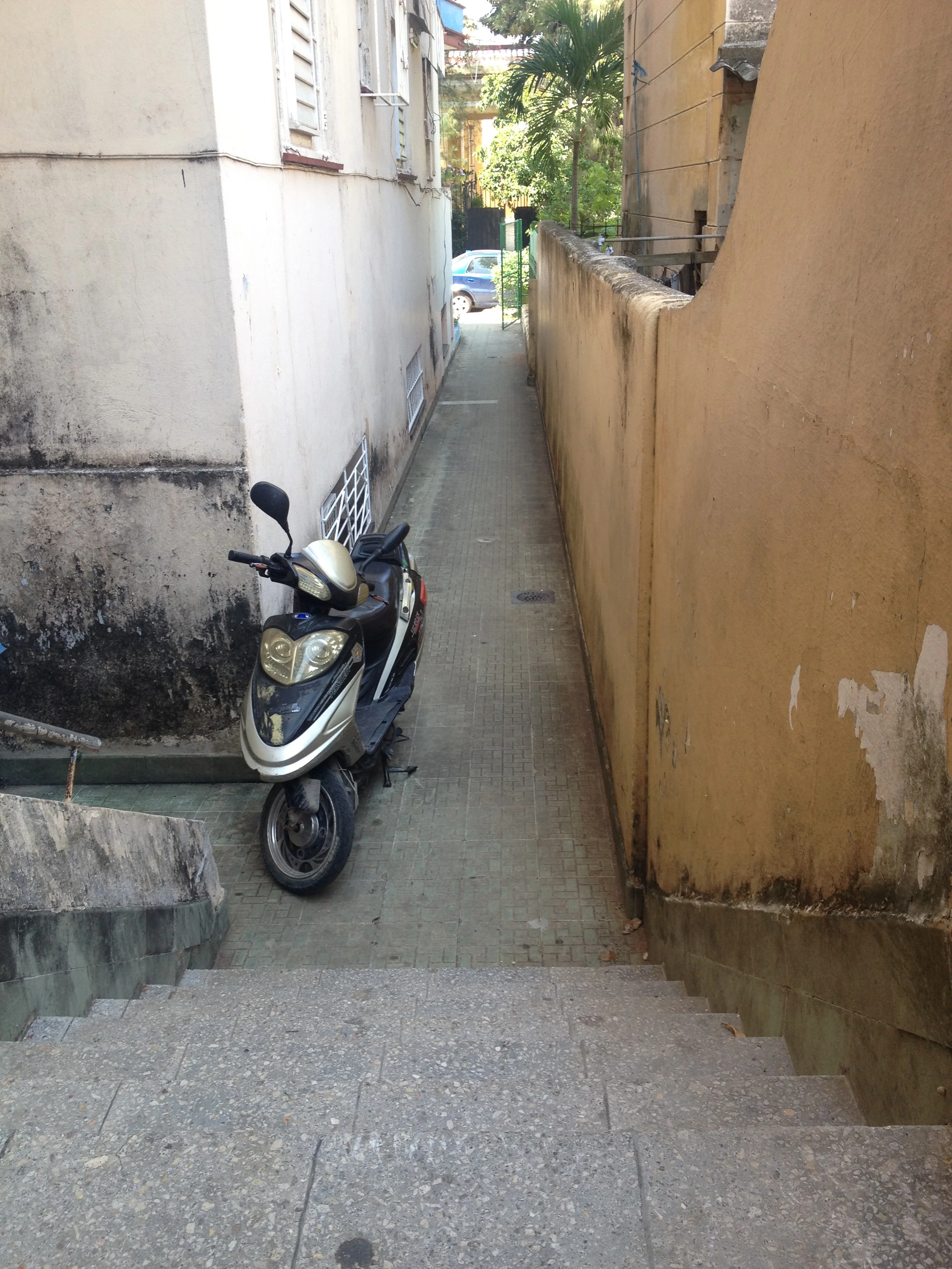  Narrow pathway to my aunt's art deco apartment in Vedado. 