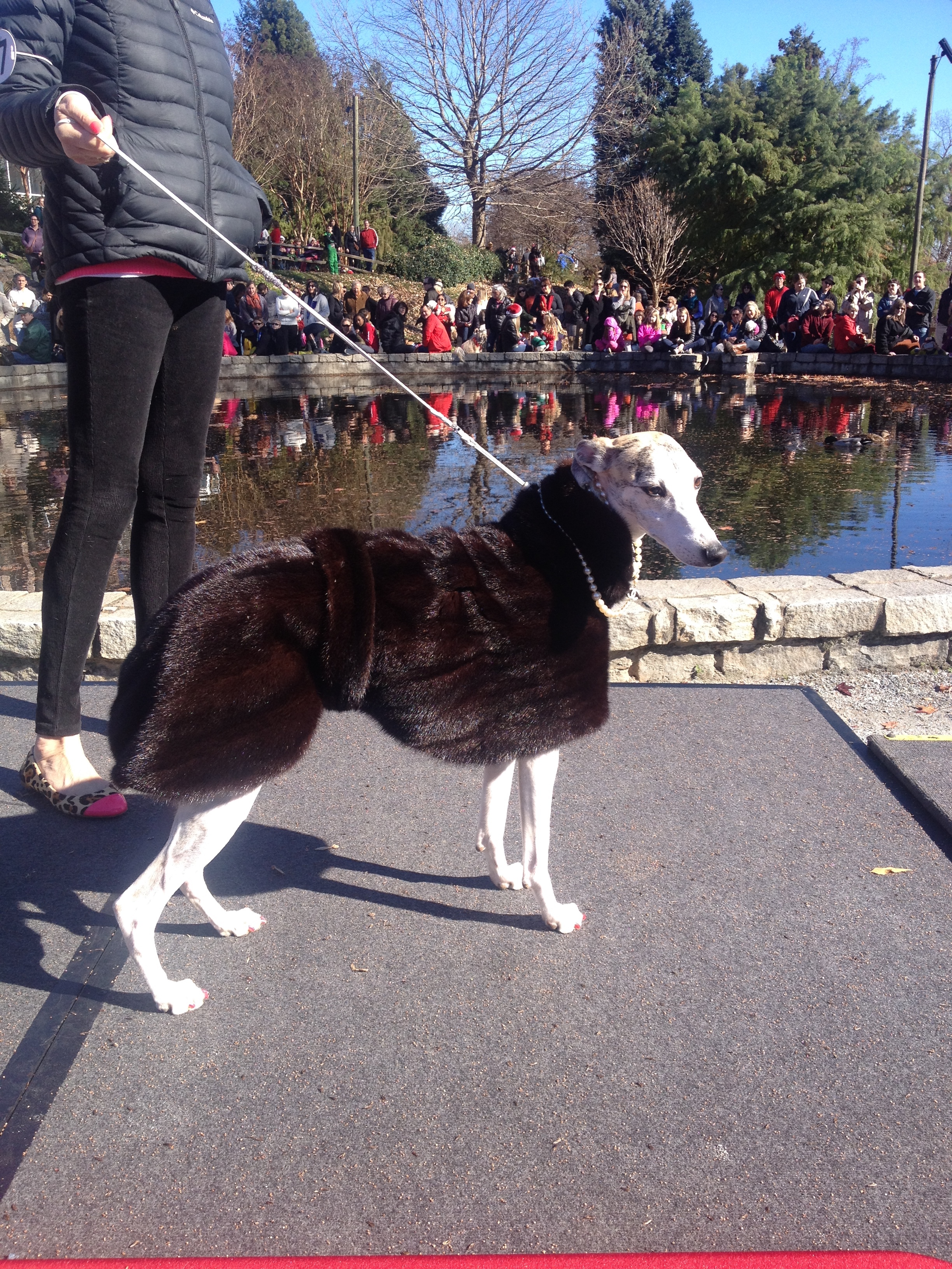  This classy girl wore a vintage mink stole and pearls. 