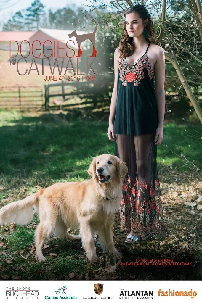 doggies on the catwalk