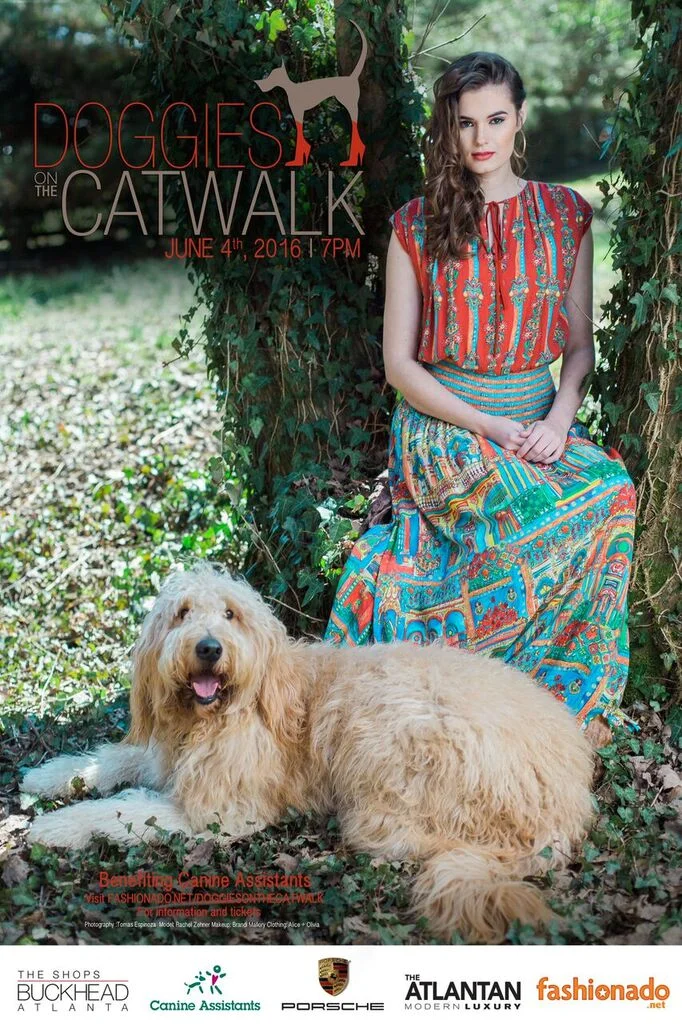 doggies on the catwalk