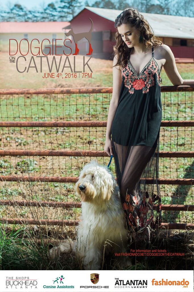 doggies on the catwalk