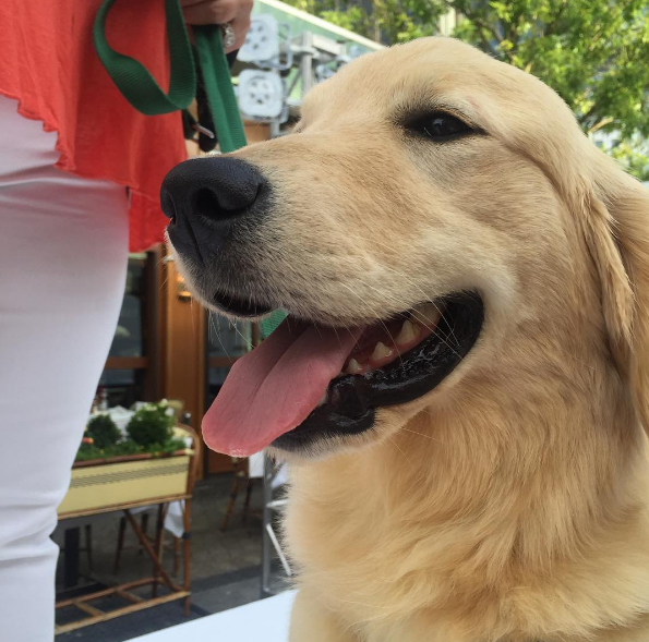 Screen Shot 2016-06-05 at 7.44.56 AM.png