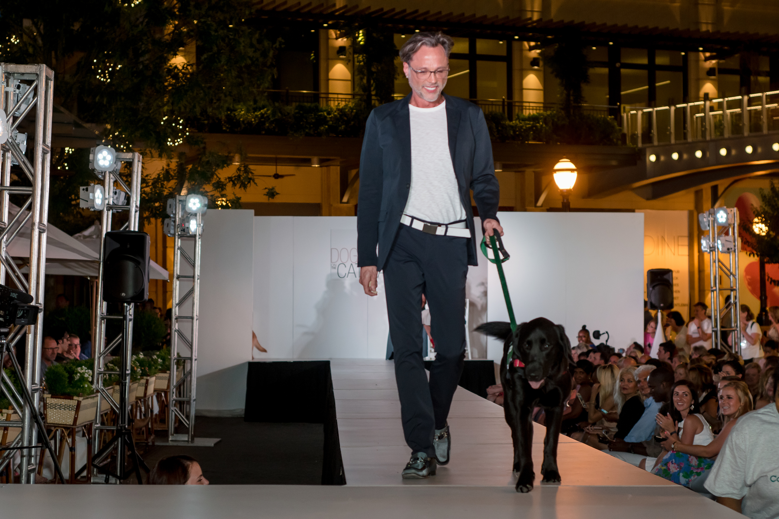 Doggies on the Catwalk