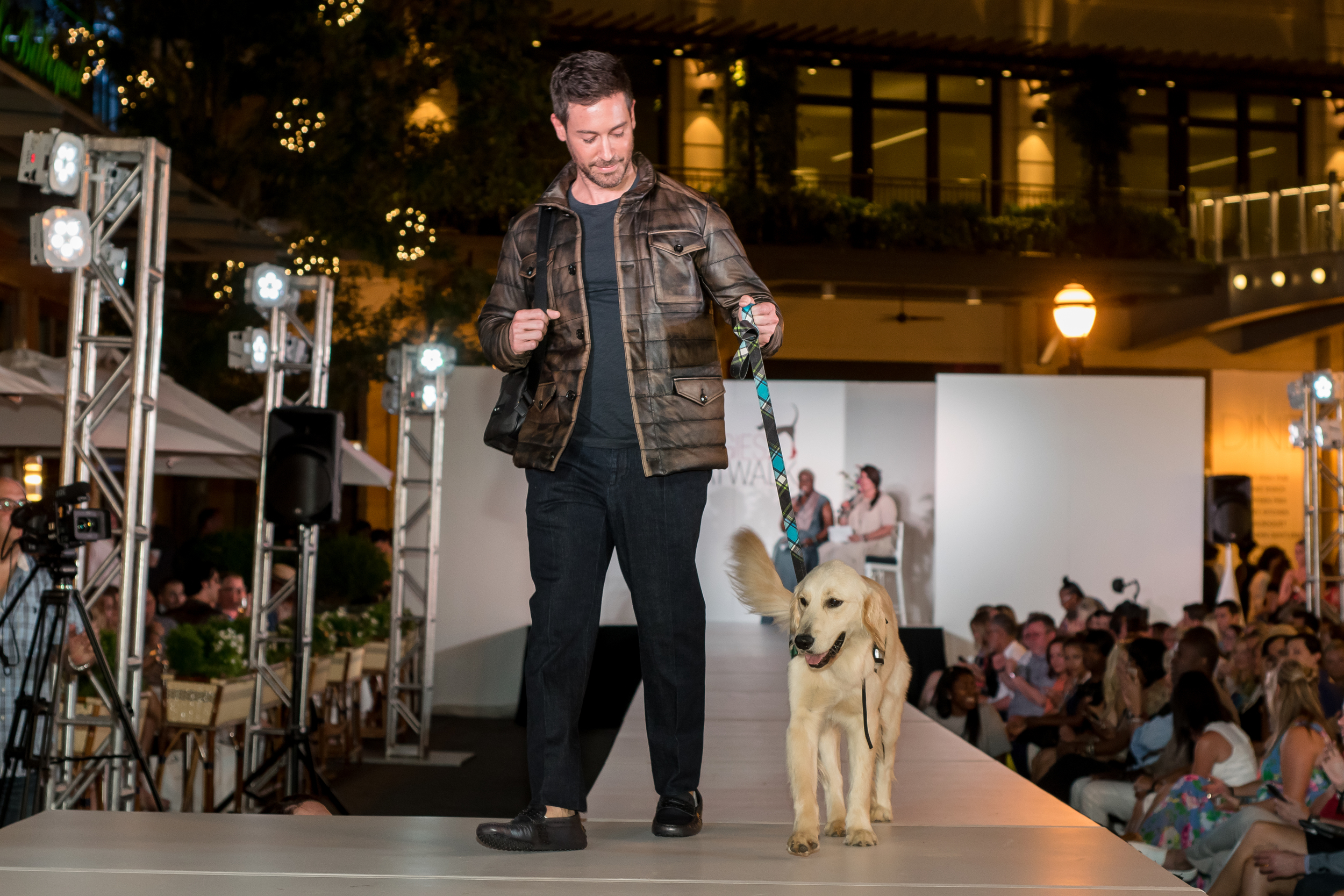 Doggies on the Catwalk