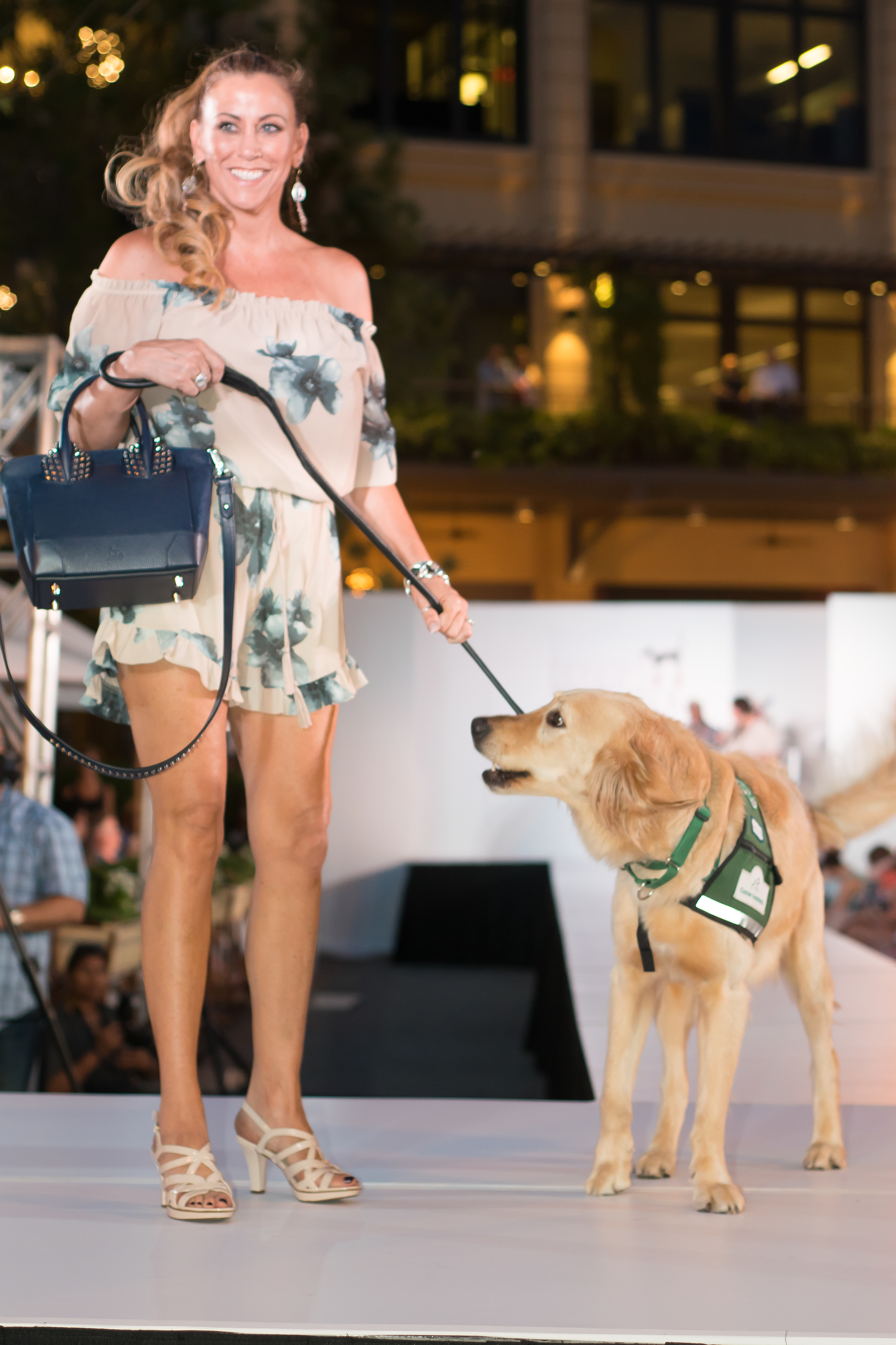 Doggies on the Catwalk