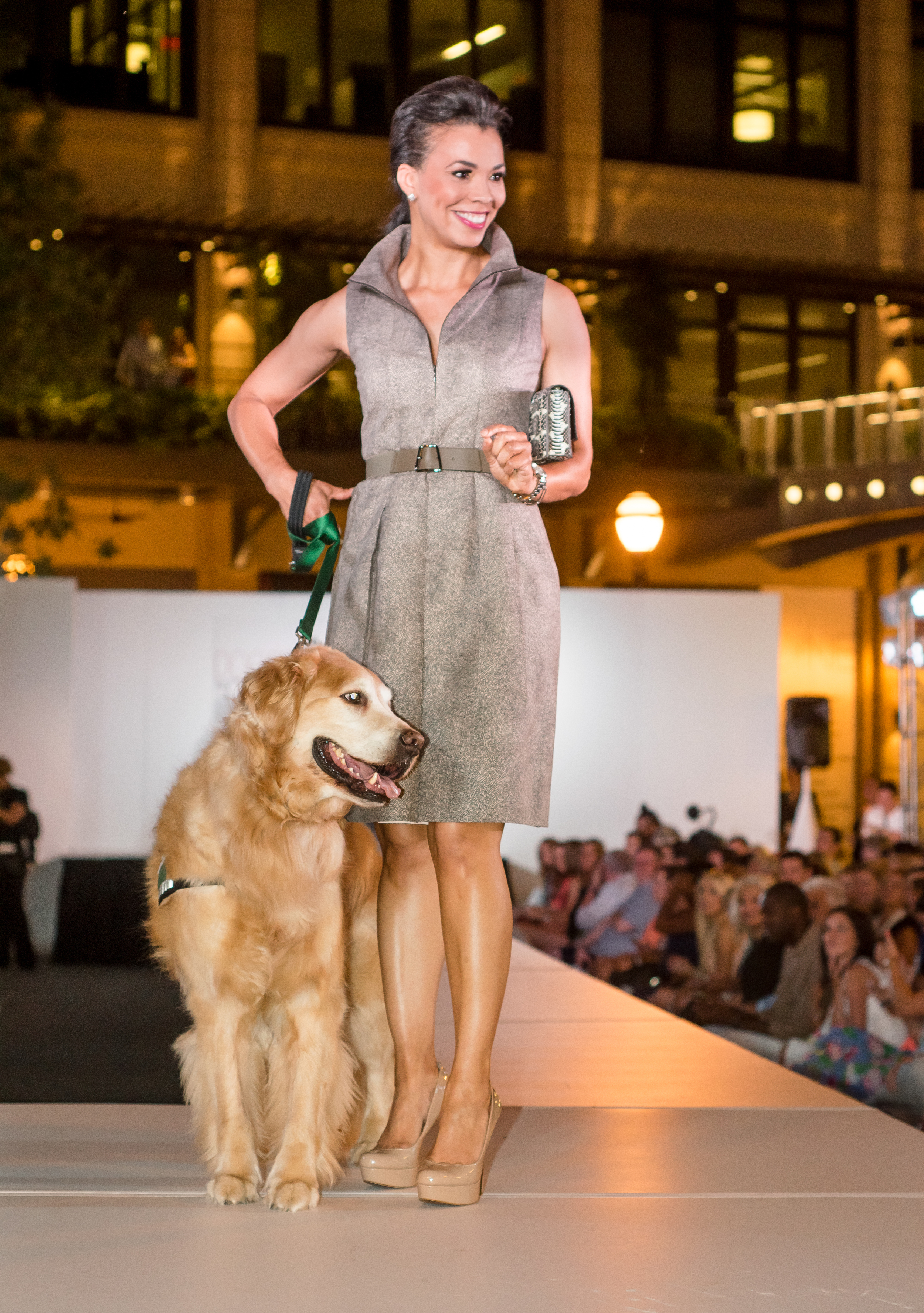 Doggies on the Catwalk