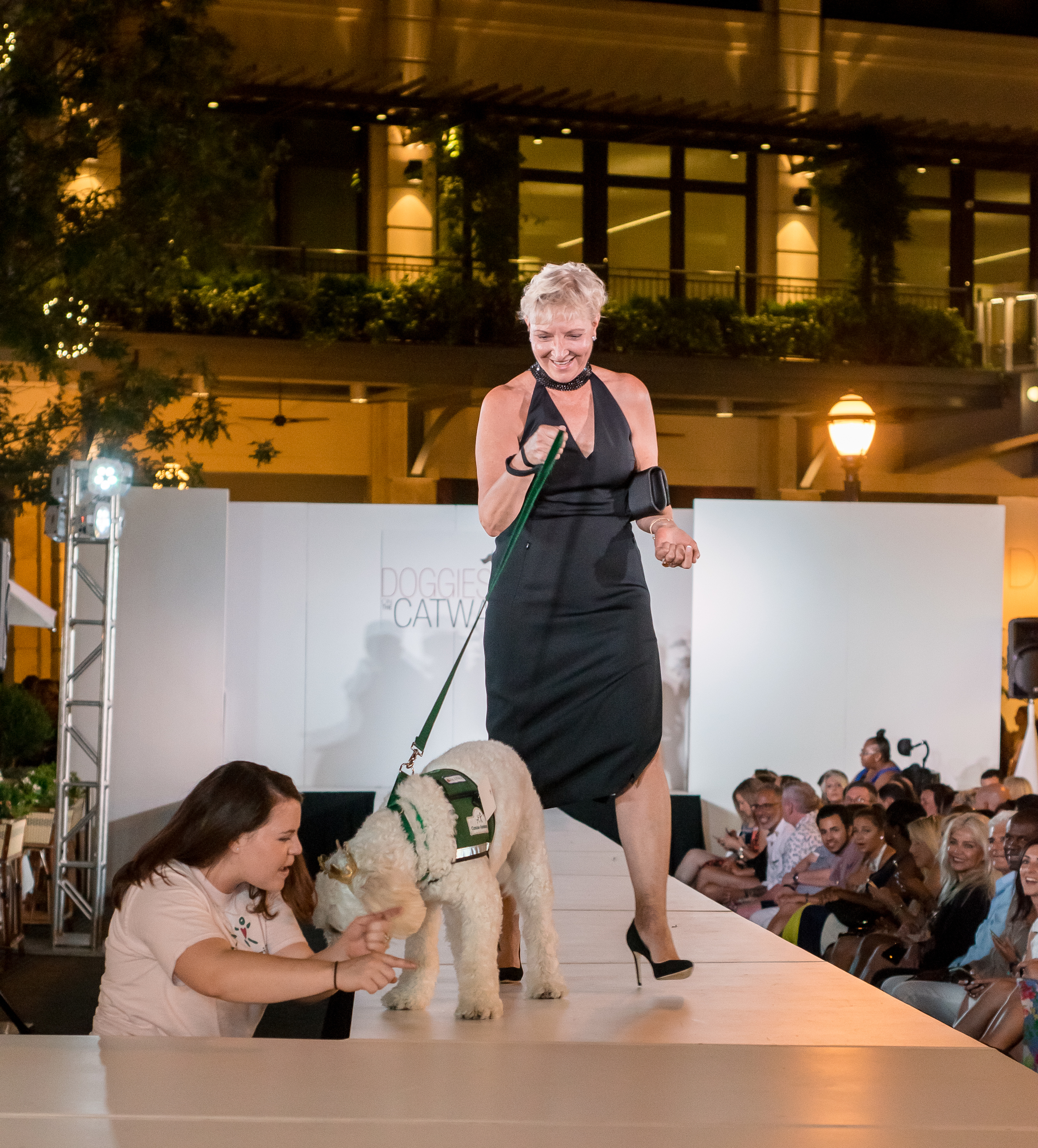 Doggies on the Catwalk