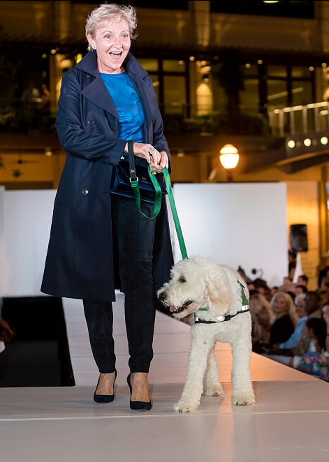 Doggies on the Catwalk