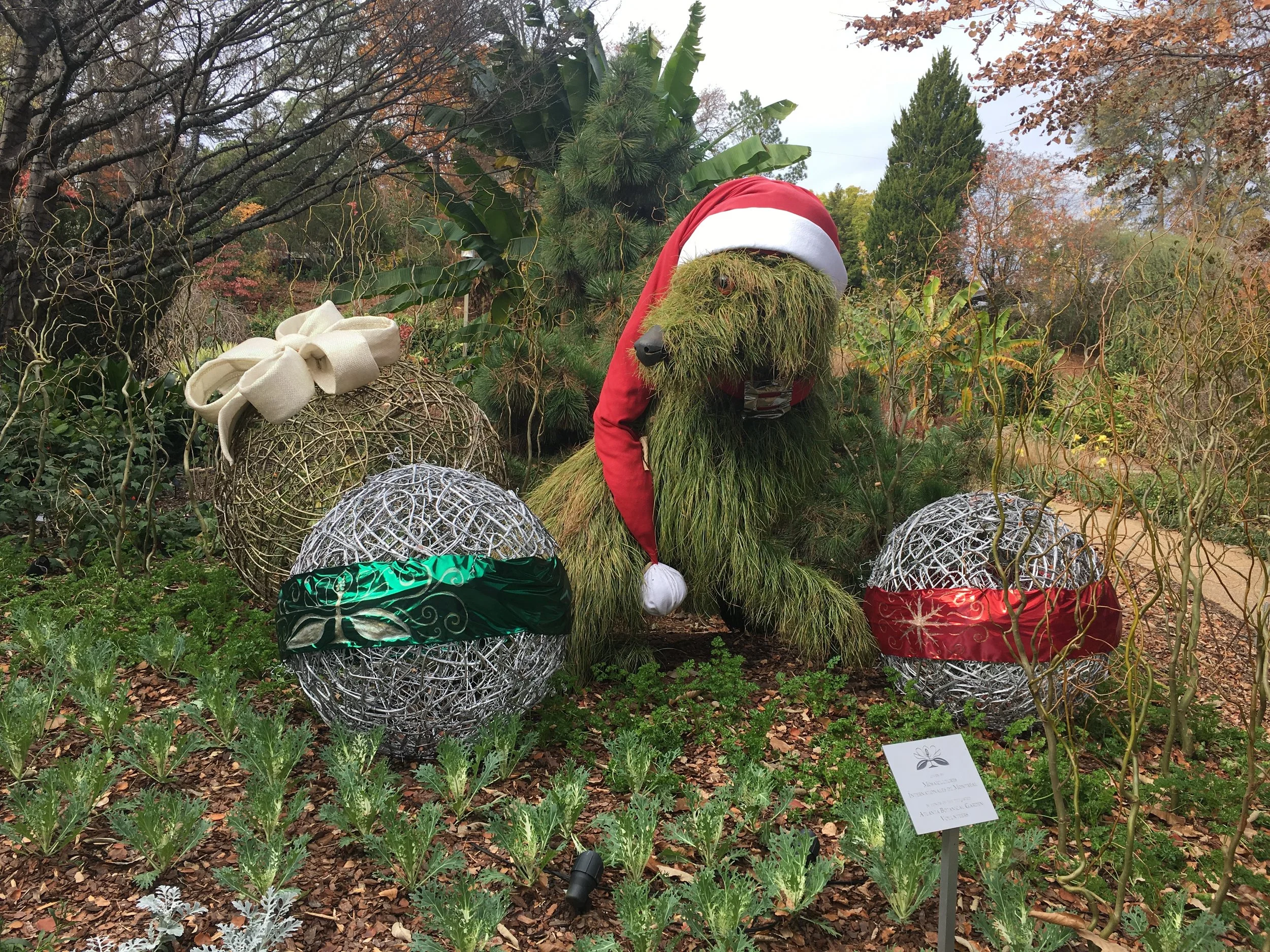 Atlanta Botanical Garden