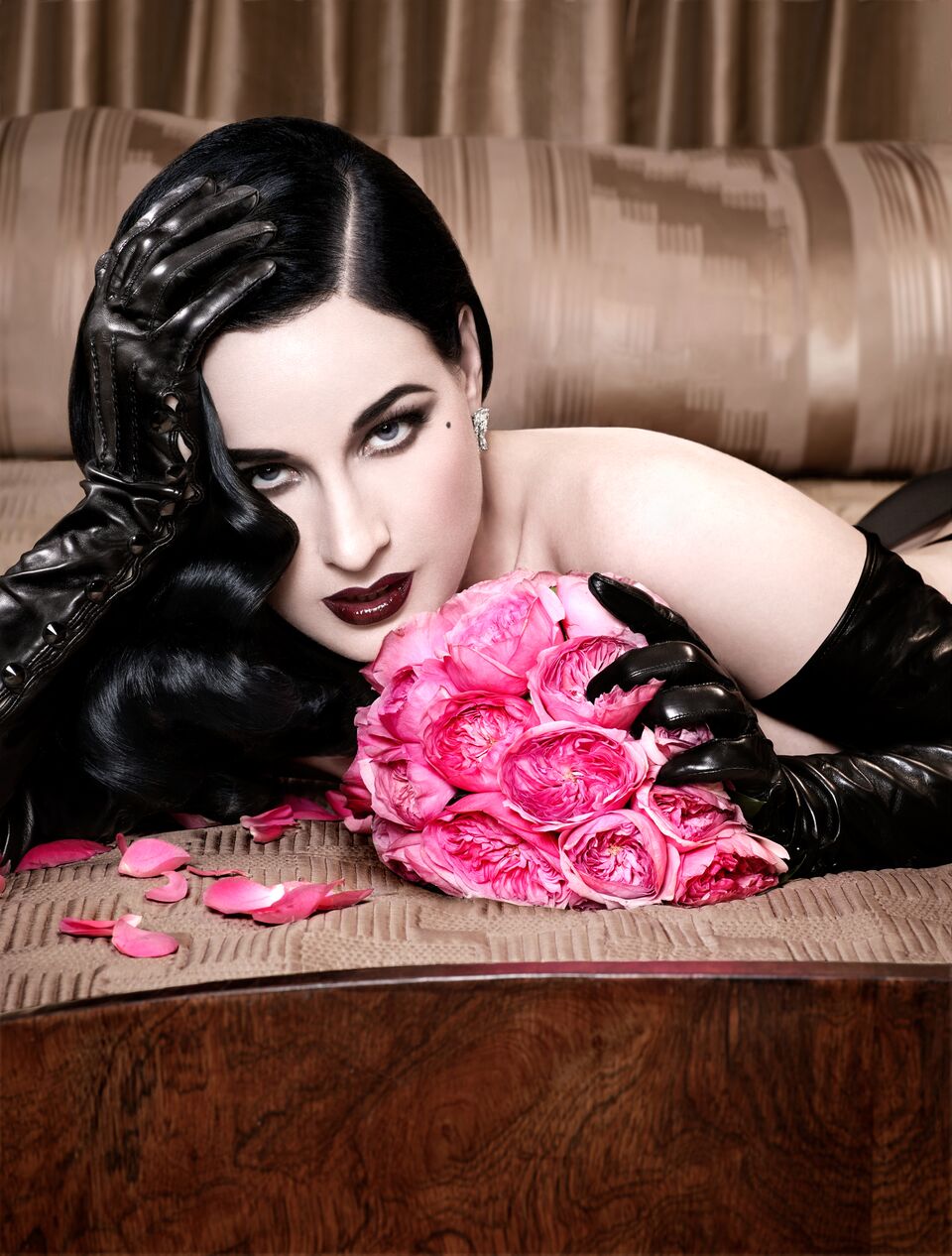 Dita Von Teese The Art of the Teese