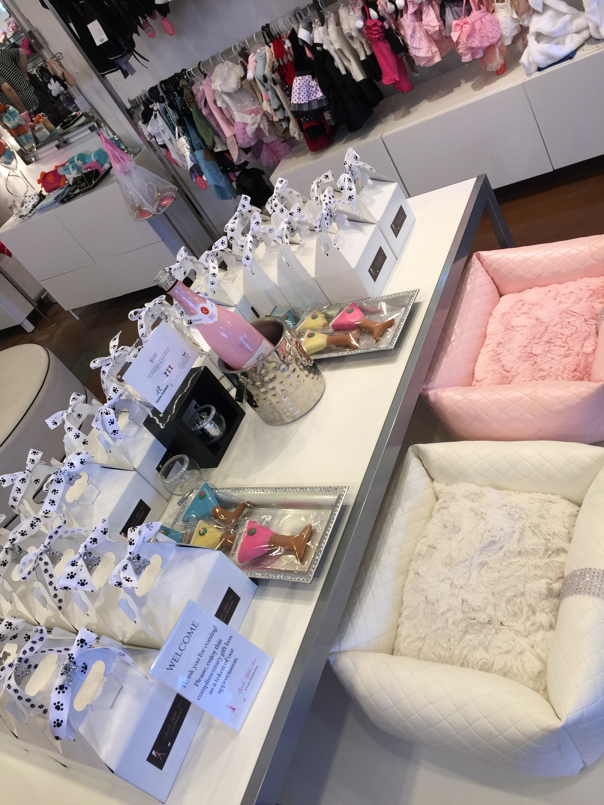  Fabulous goodie boxes at Bark Fifth Ave! 