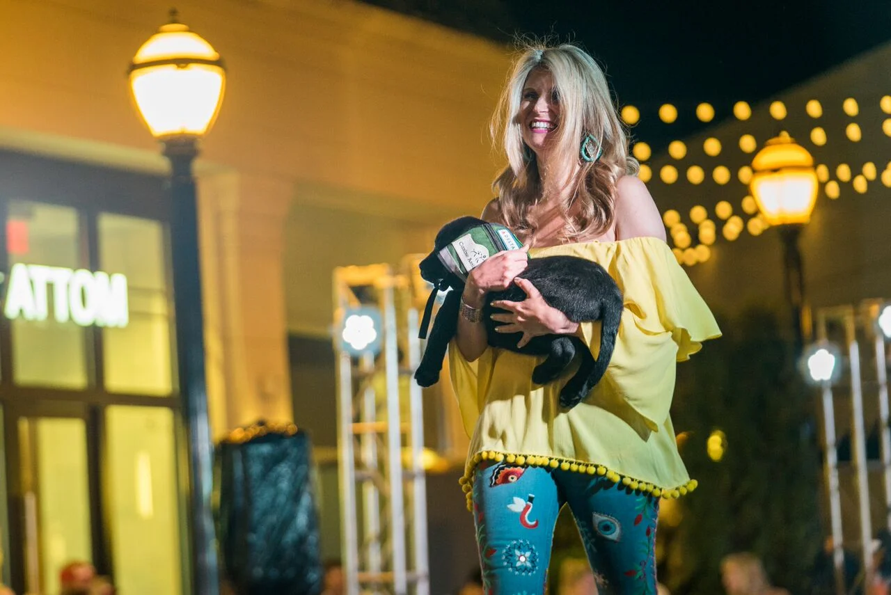 Doggies on the Catwalk 2017
