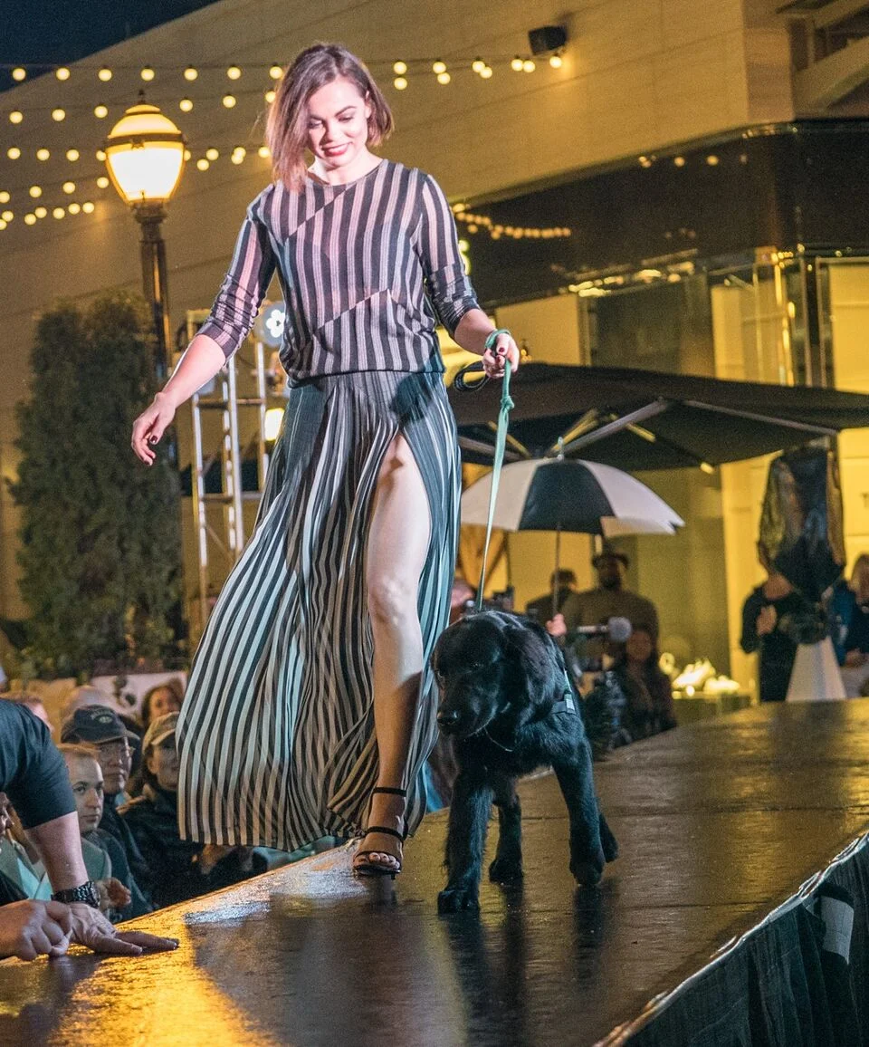 Doggies on the Catwalk 2017