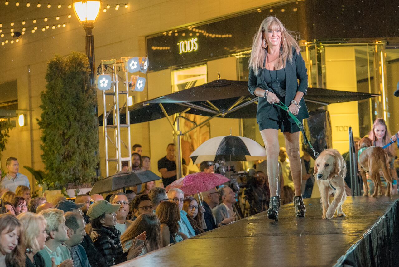 Doggies on the Catwalk 2017