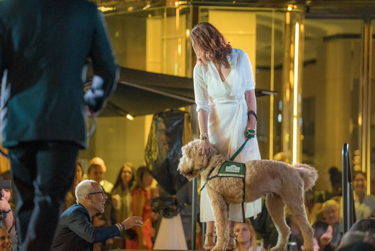 Doggies on the Catwalk 2017
