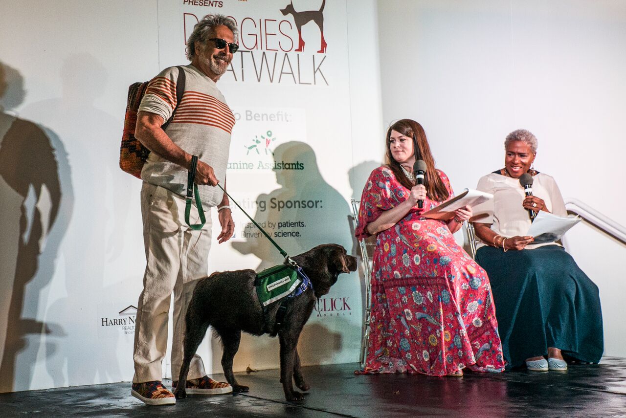 Doggies on the Catwalk 2017