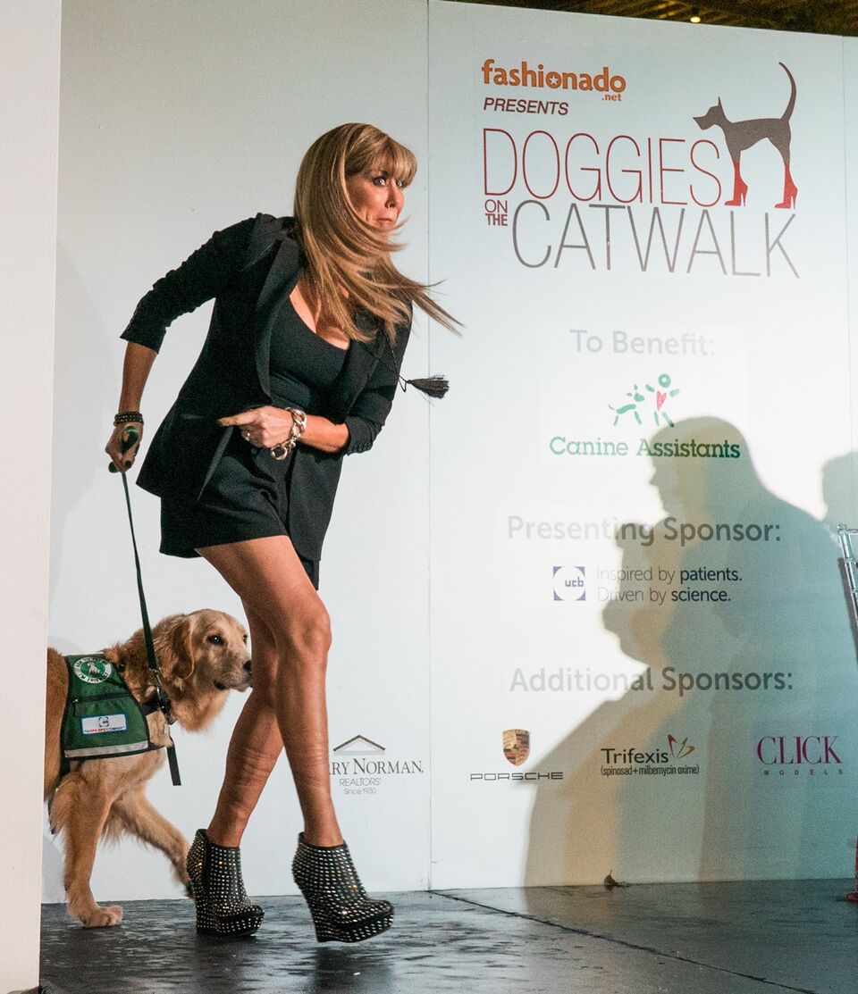 Doggies on the Catwalk 2017