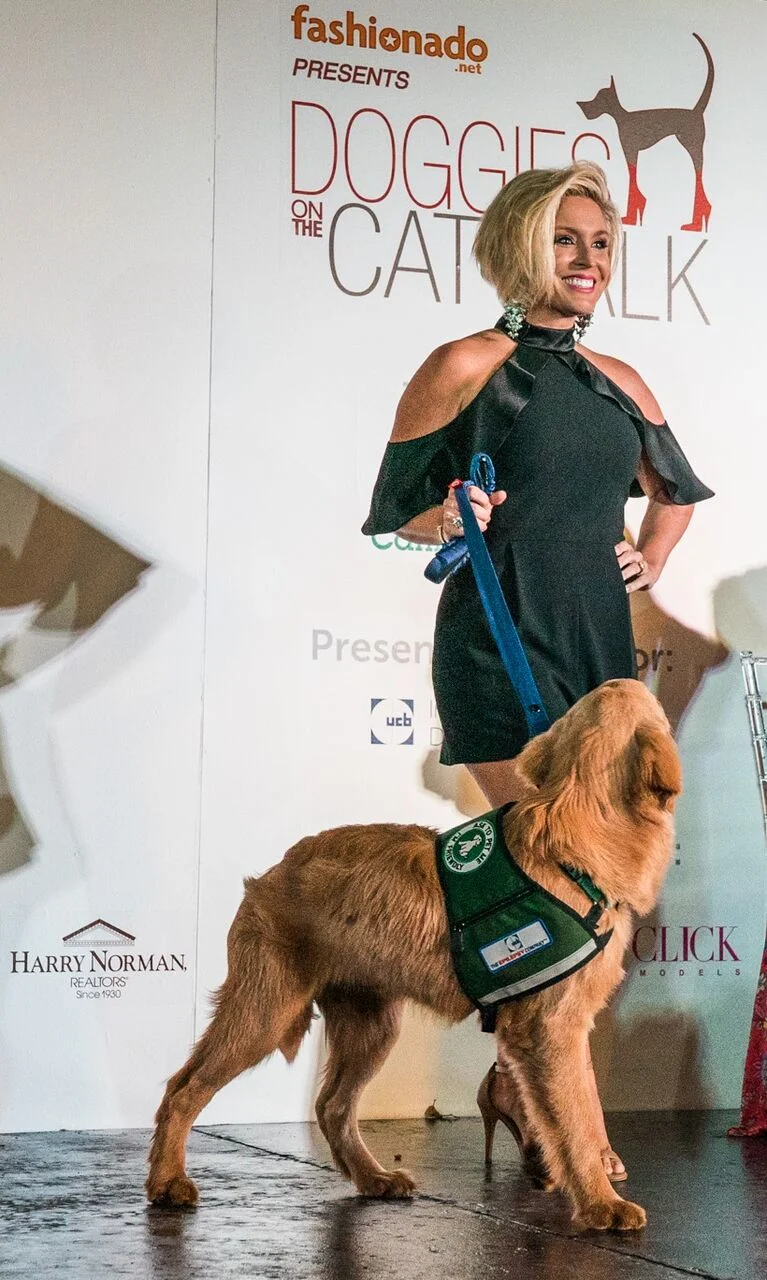 Doggies on the Catwalk 2017