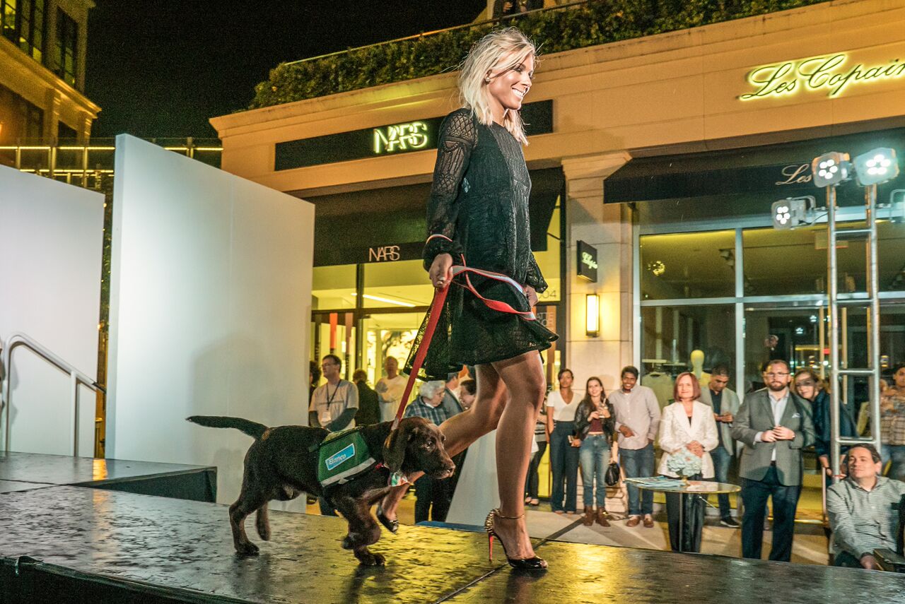 Doggies on the Catwalk 2017