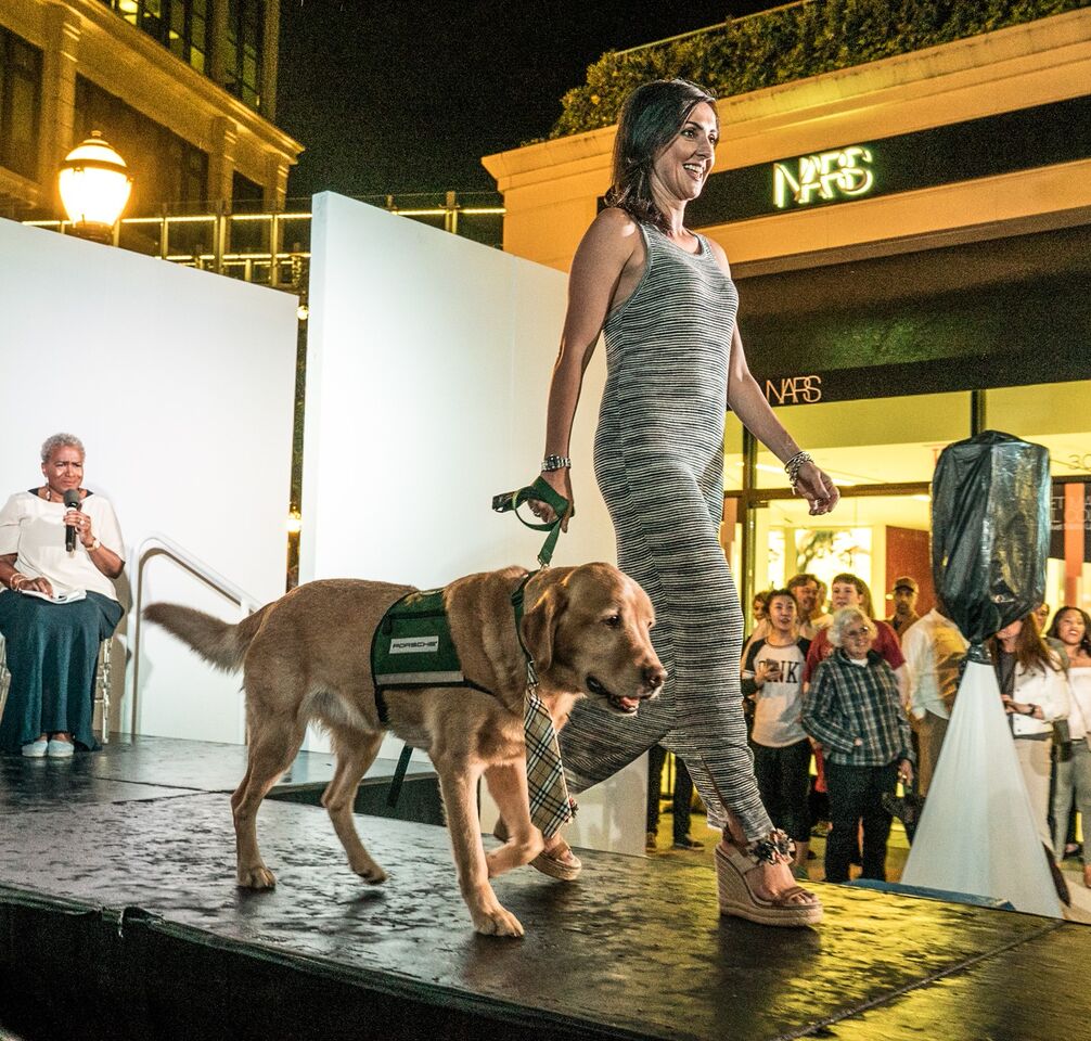 Doggies on the Catwalk 2017