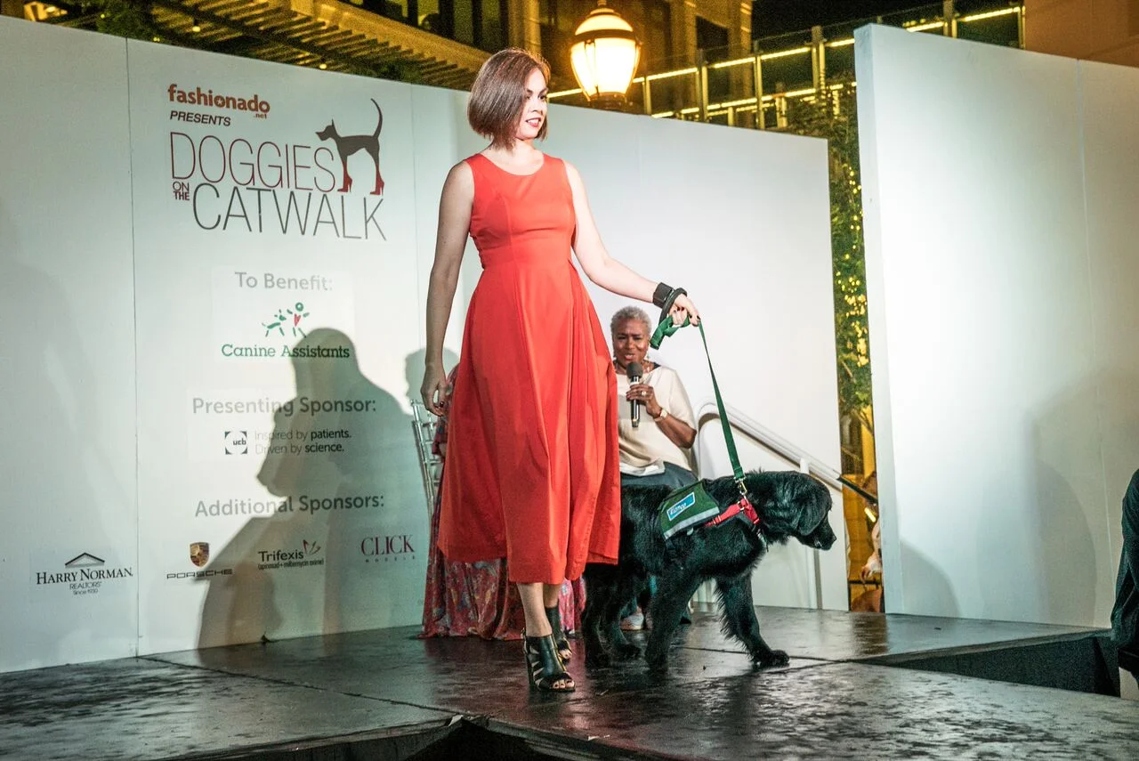 Doggies on the Catwalk 2017
