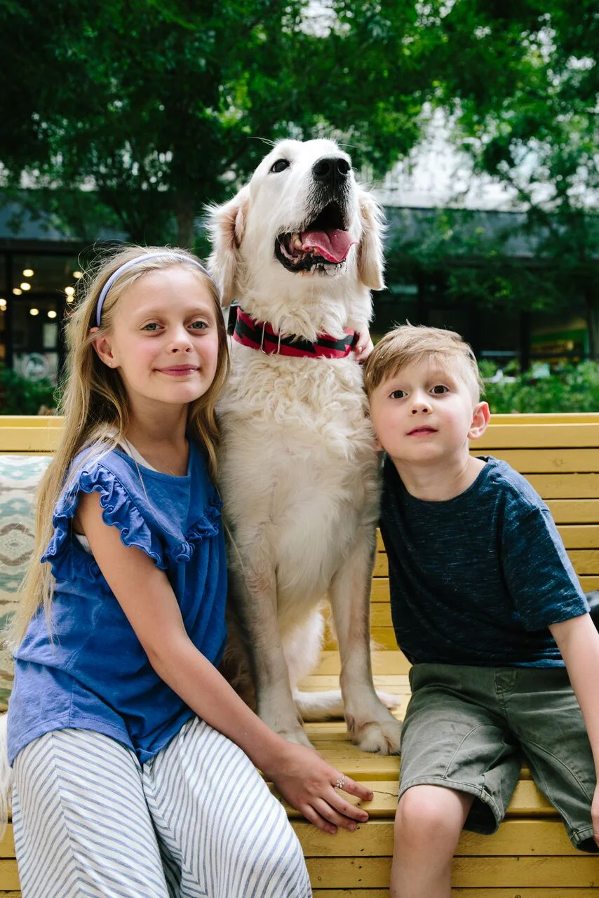 brittanywages_hhdogs_237.jpg
