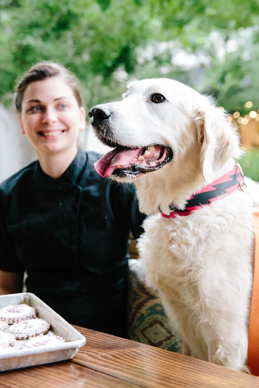 brittanywages_hhdogs_554.jpg
