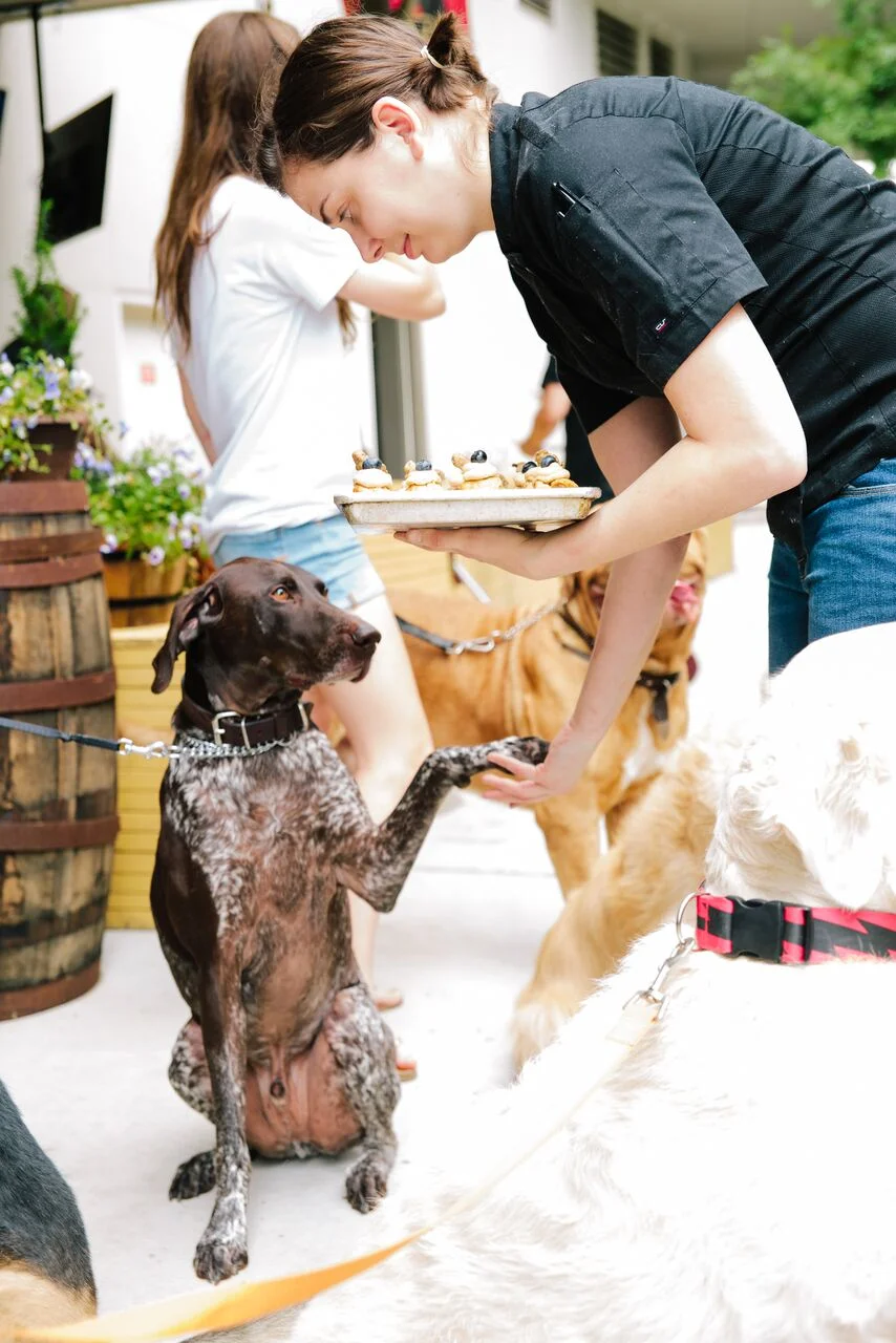 brittanywages_hhdogs_666.jpg