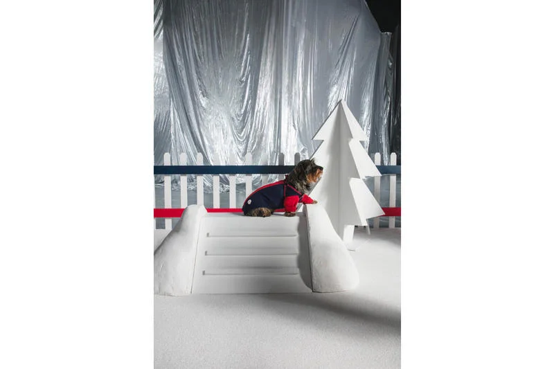 MONCLER POLDO DOG COUTURE FW18