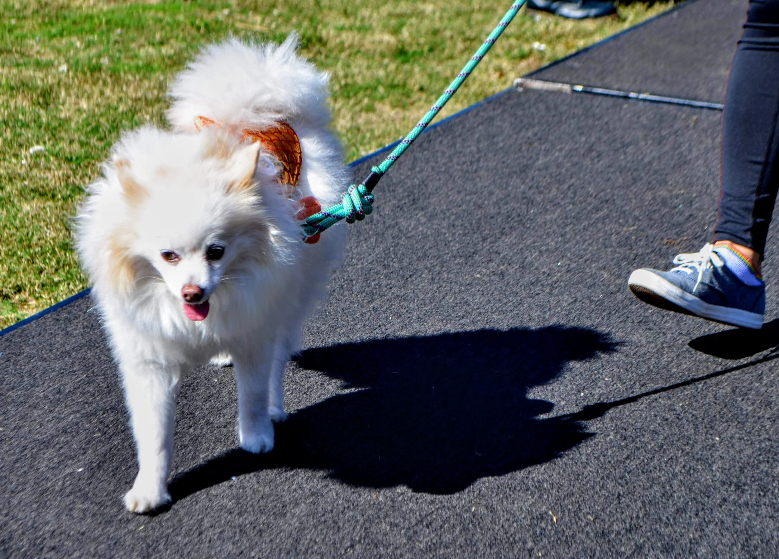 DSC_0014.jpg
