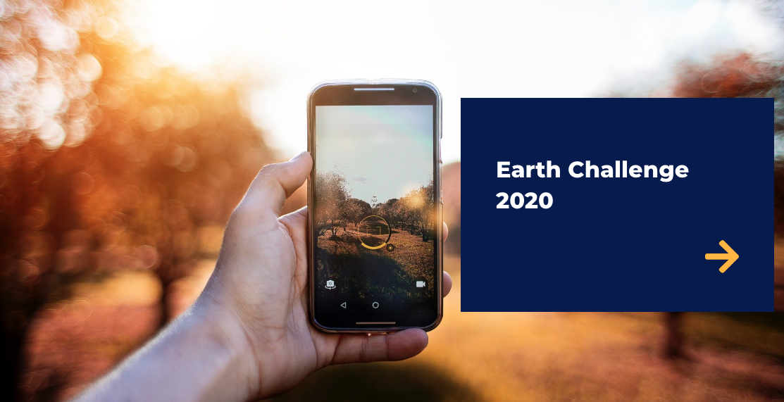 earth day 2020 fashionado