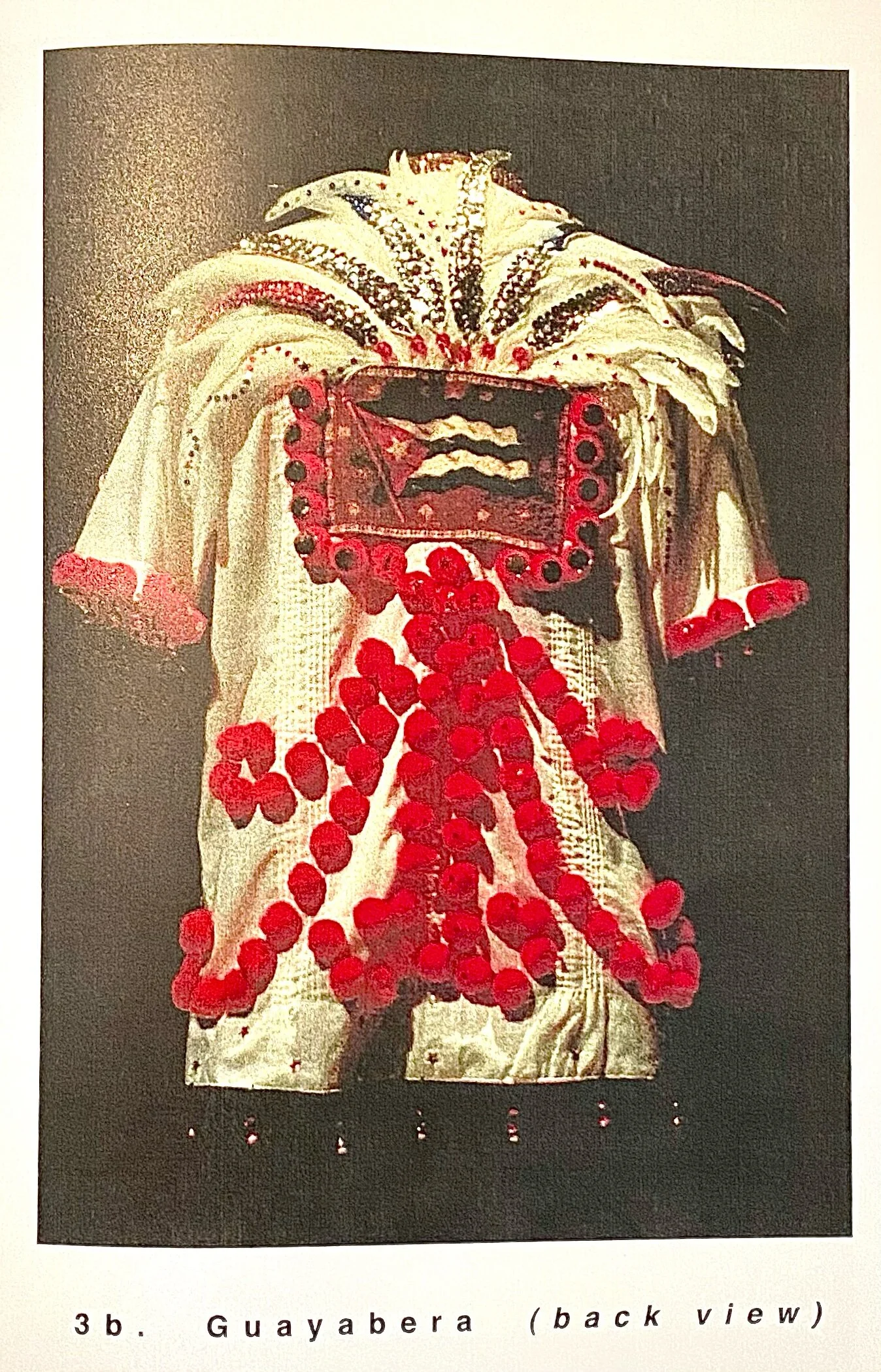 el museo del barrio art e. vincent martinez