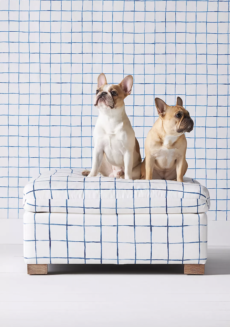 Anthropologie's Exclusive Home Collaboration with Interior Designer Mark D. Sikes